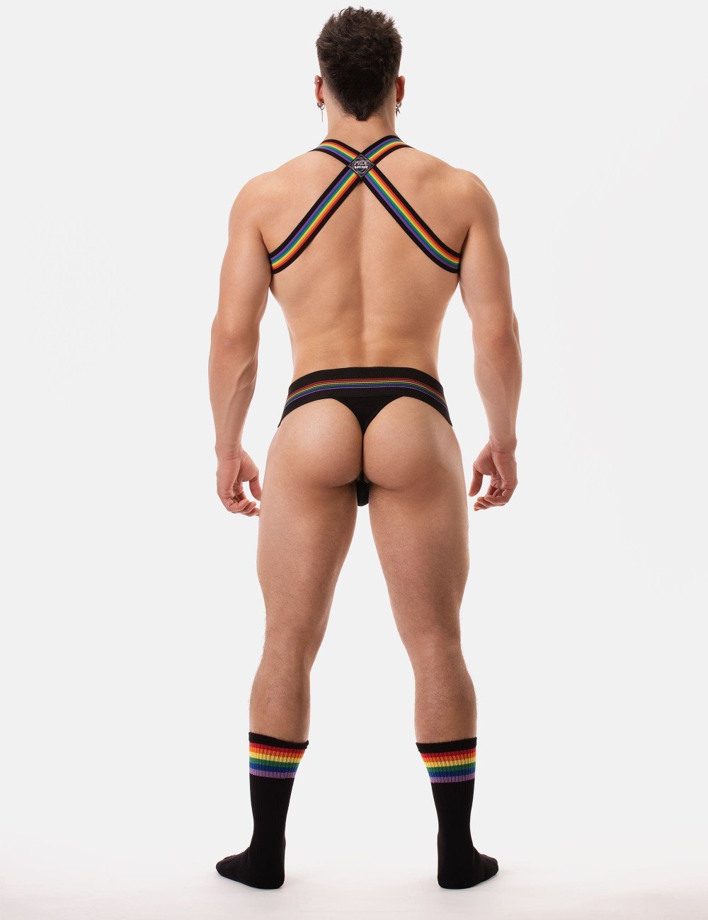 harness-pride-eternity8.jpeg