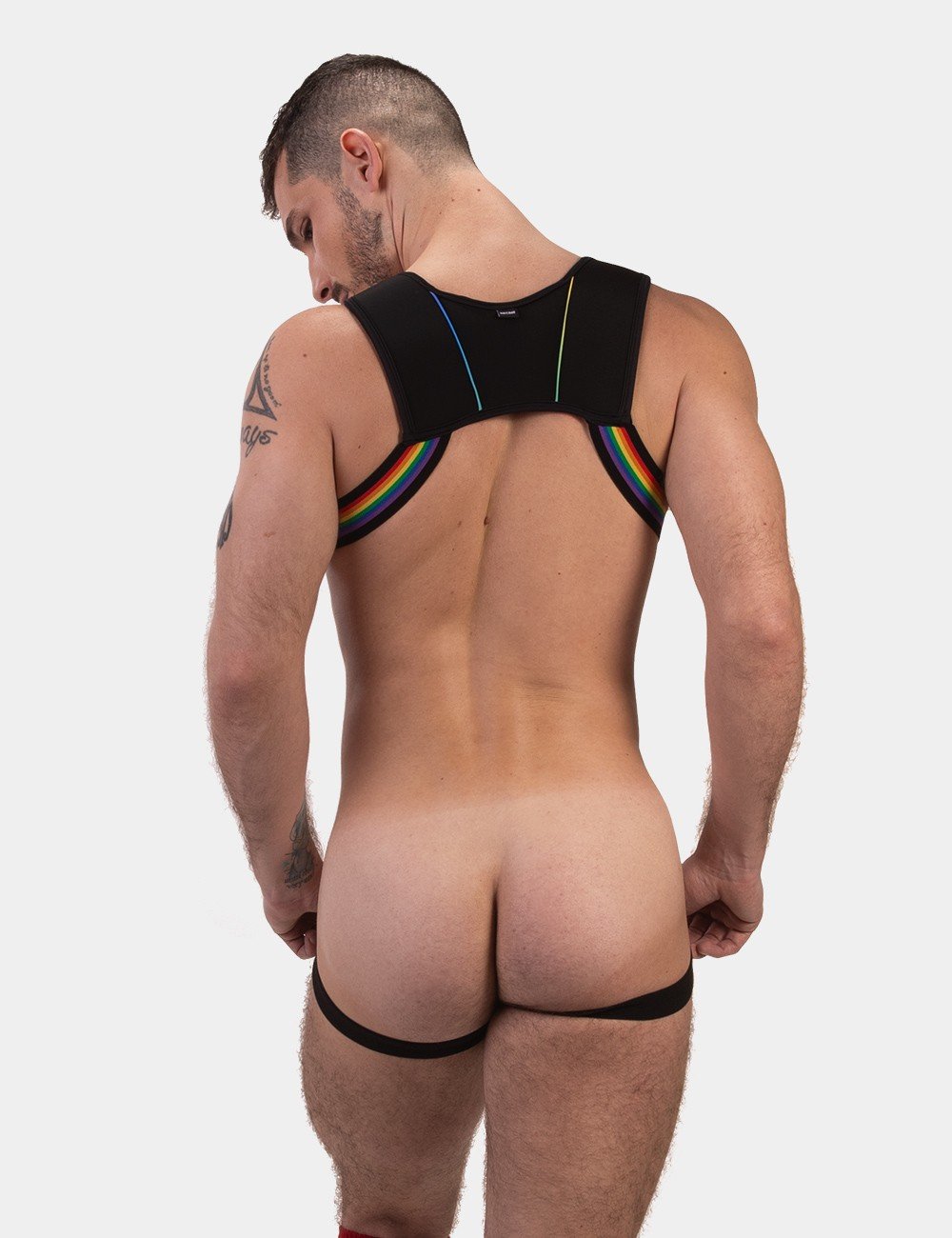 harness-pride-infinity2.jpeg