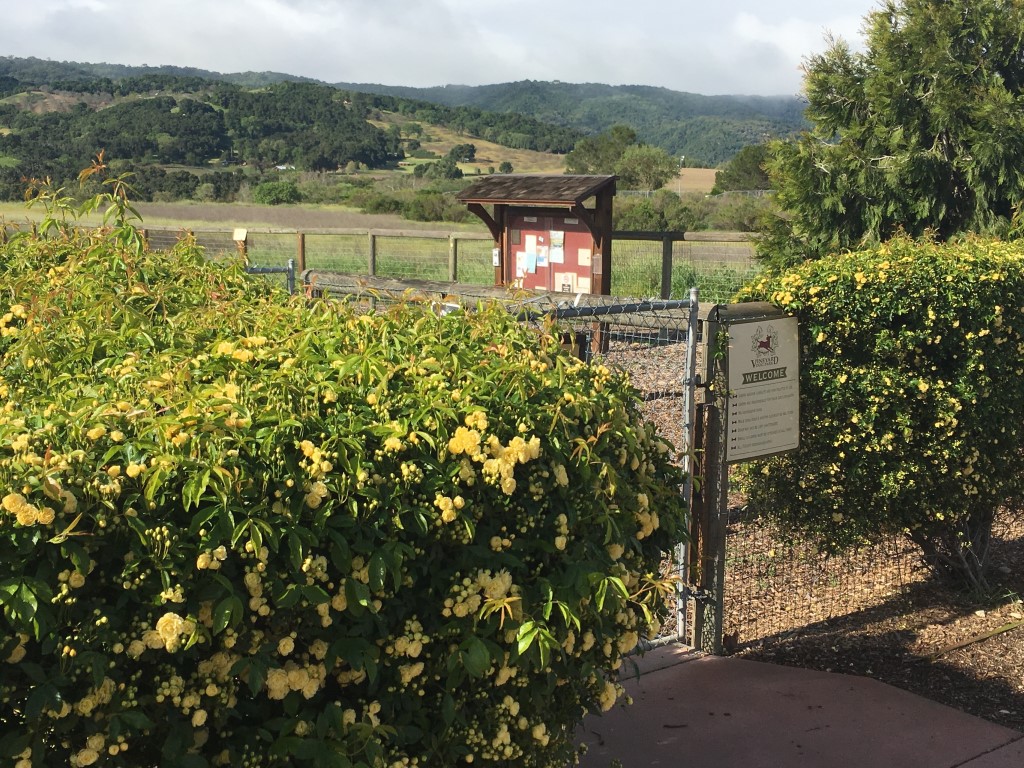 VDP Parks photo2 (Medium).jpg