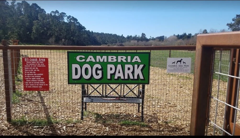 Cambria Dog Park.JPG