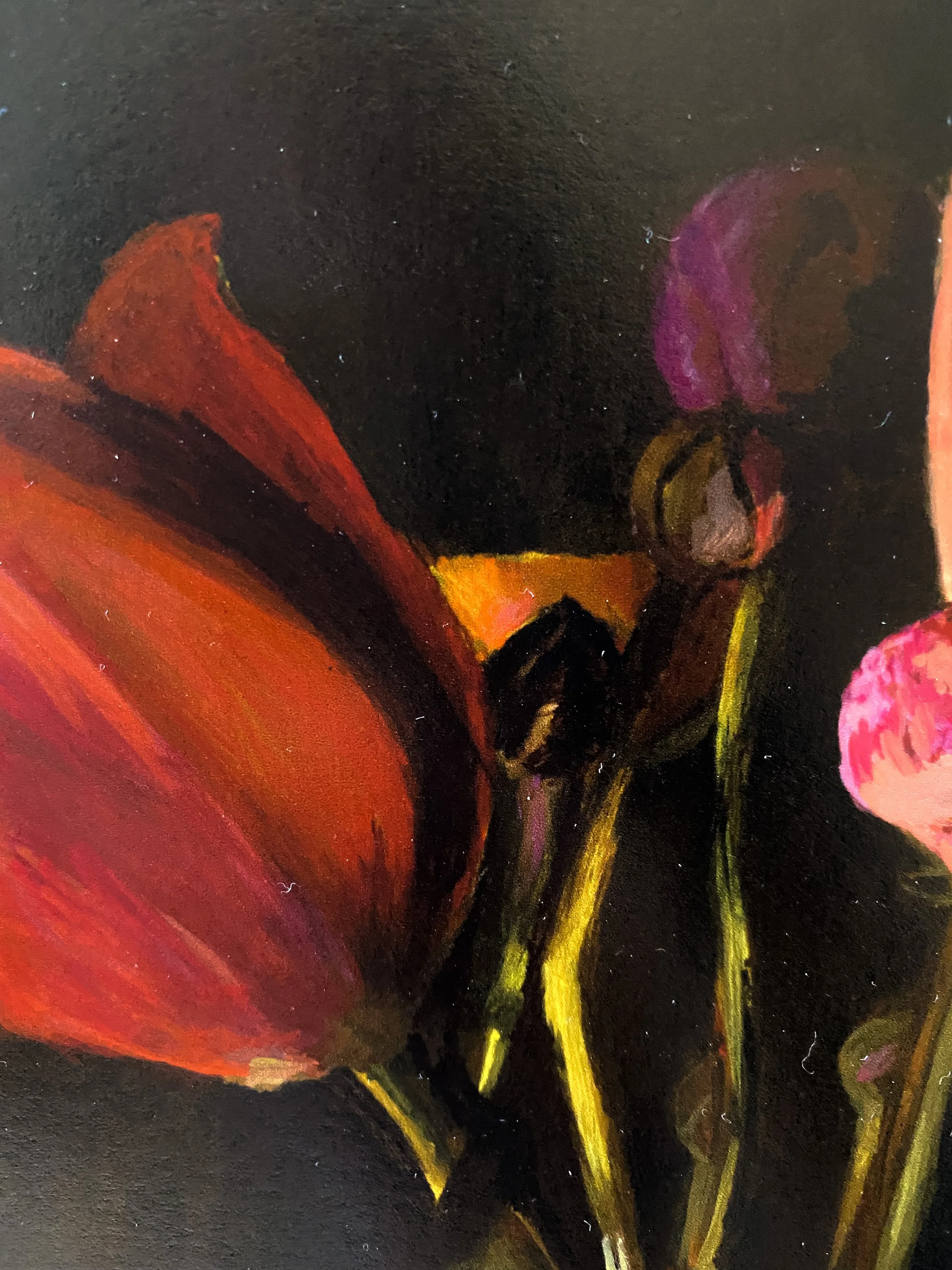 Tulips and ranunculus flower fine art giclée print for gallery wall.
