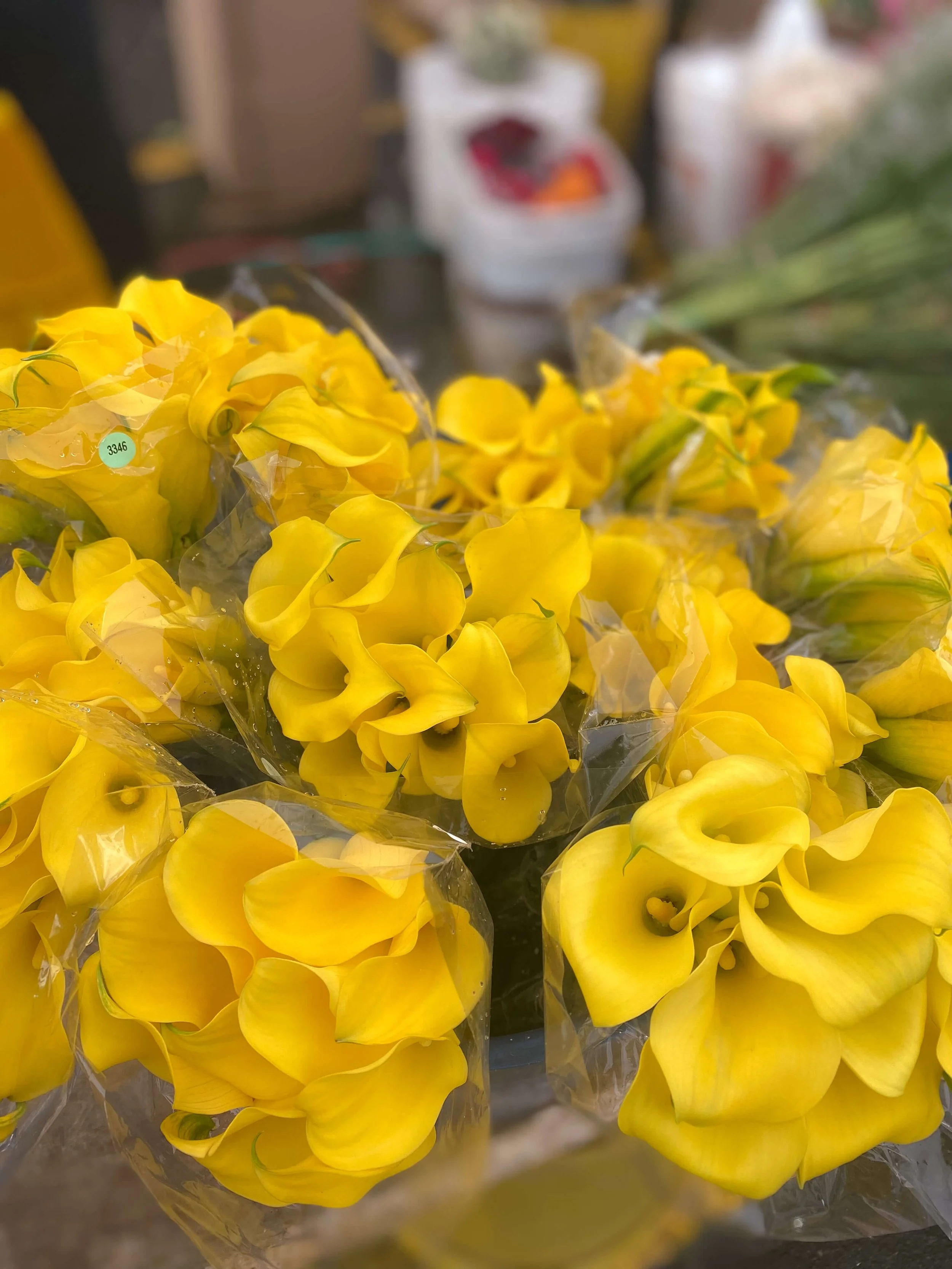 Bogota Colombia Colombian flowers Freny Green — Freny Green