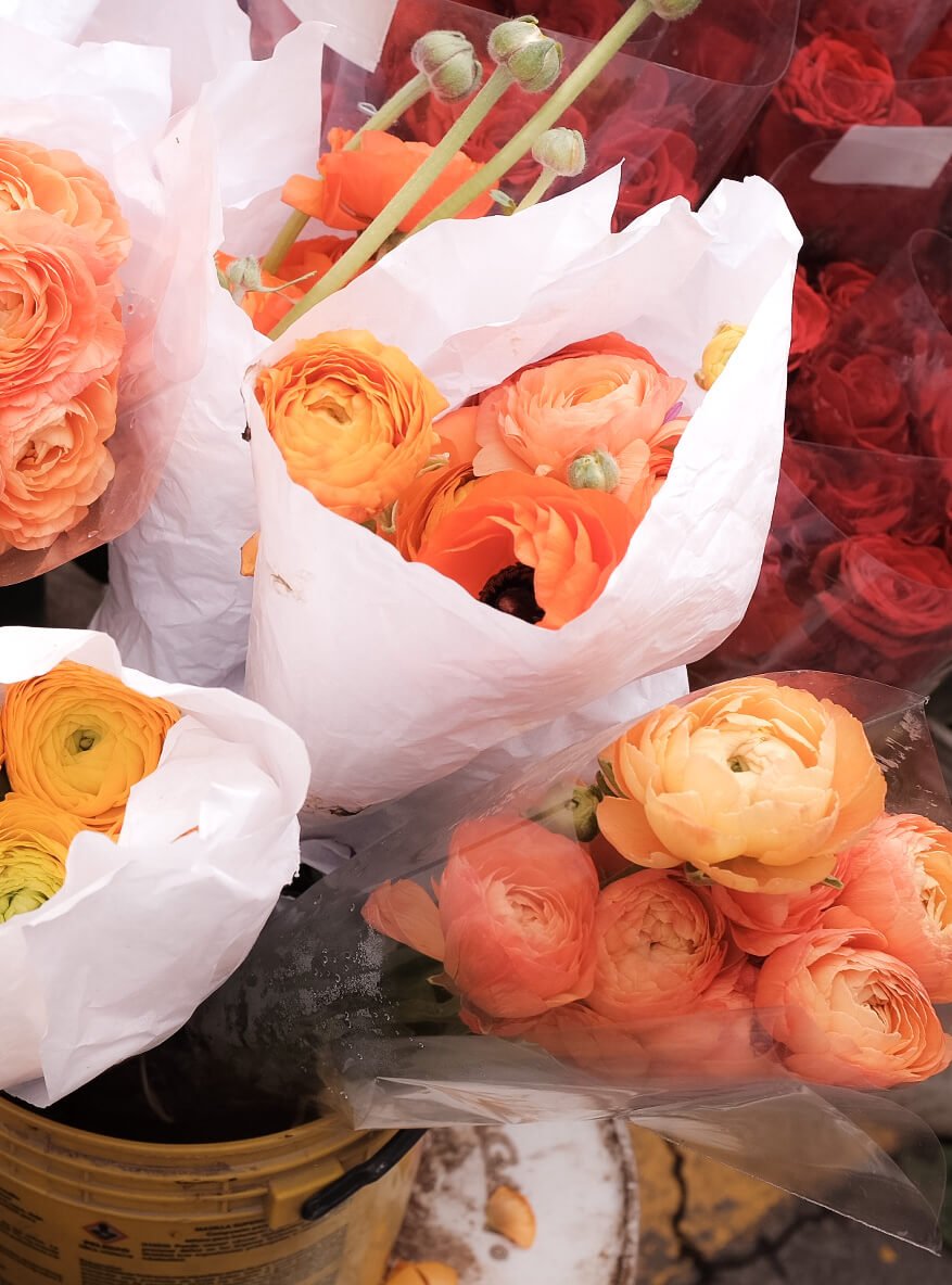 Freny Green Artist | Travel | Blog | Colombia | Bogota | Paloquemao | Flower market 