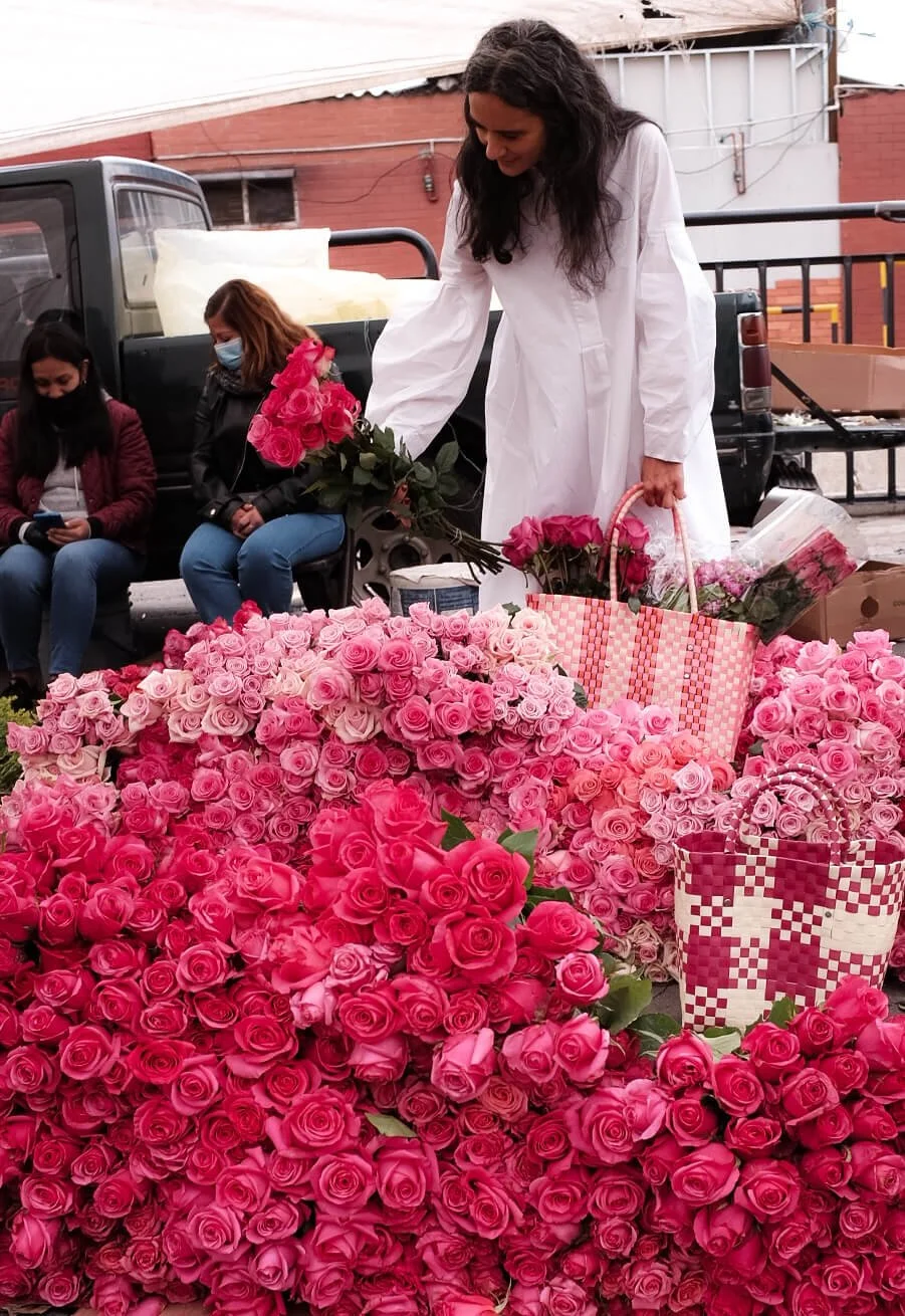 Freny Green Artist | Travel | Blog | Colombia | Bogota | Paloquemao | Flower market 