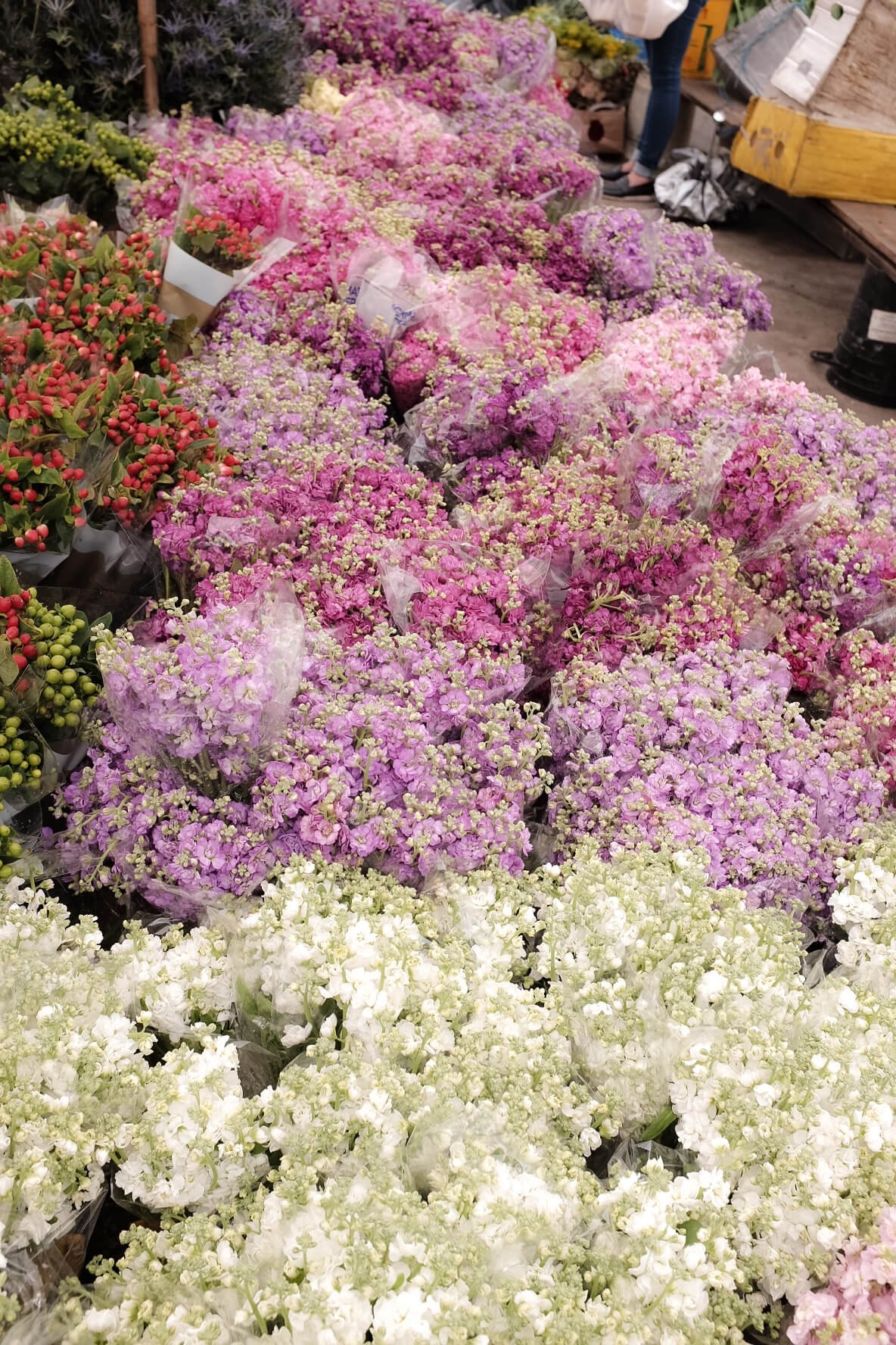 Freny Green Artist | Travel | Blog | Colombia | Bogota | Paloquemao | Flower market 