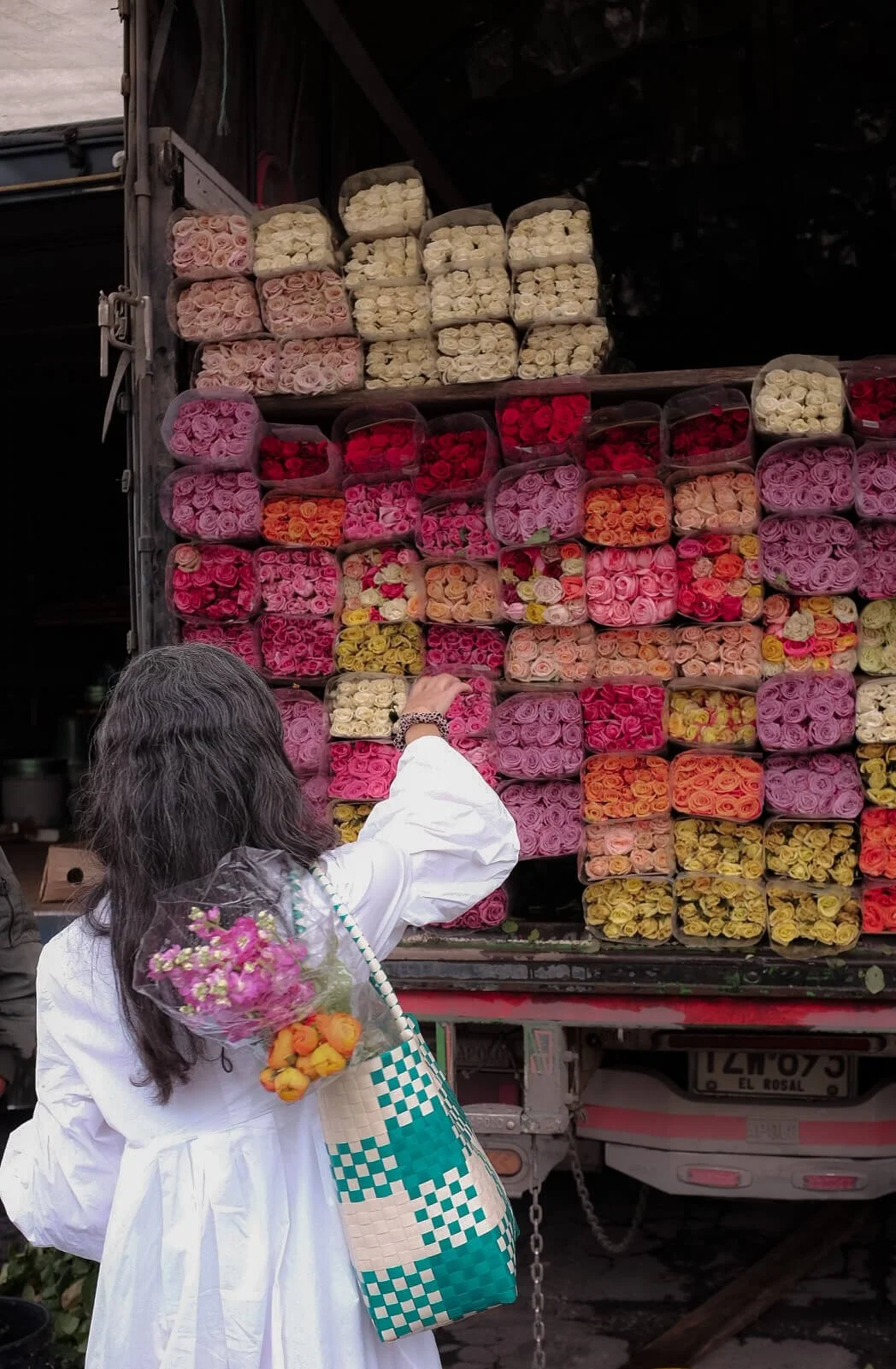 Freny Green Artist | Travel | Blog | Colombia | Bogota | Paloquemao | Flower market 
