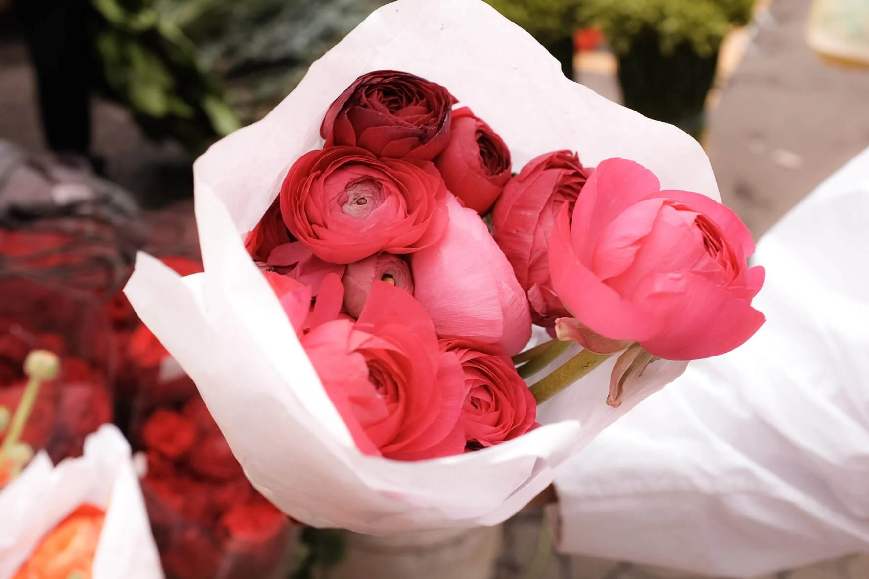 Meanings and origins of flowers