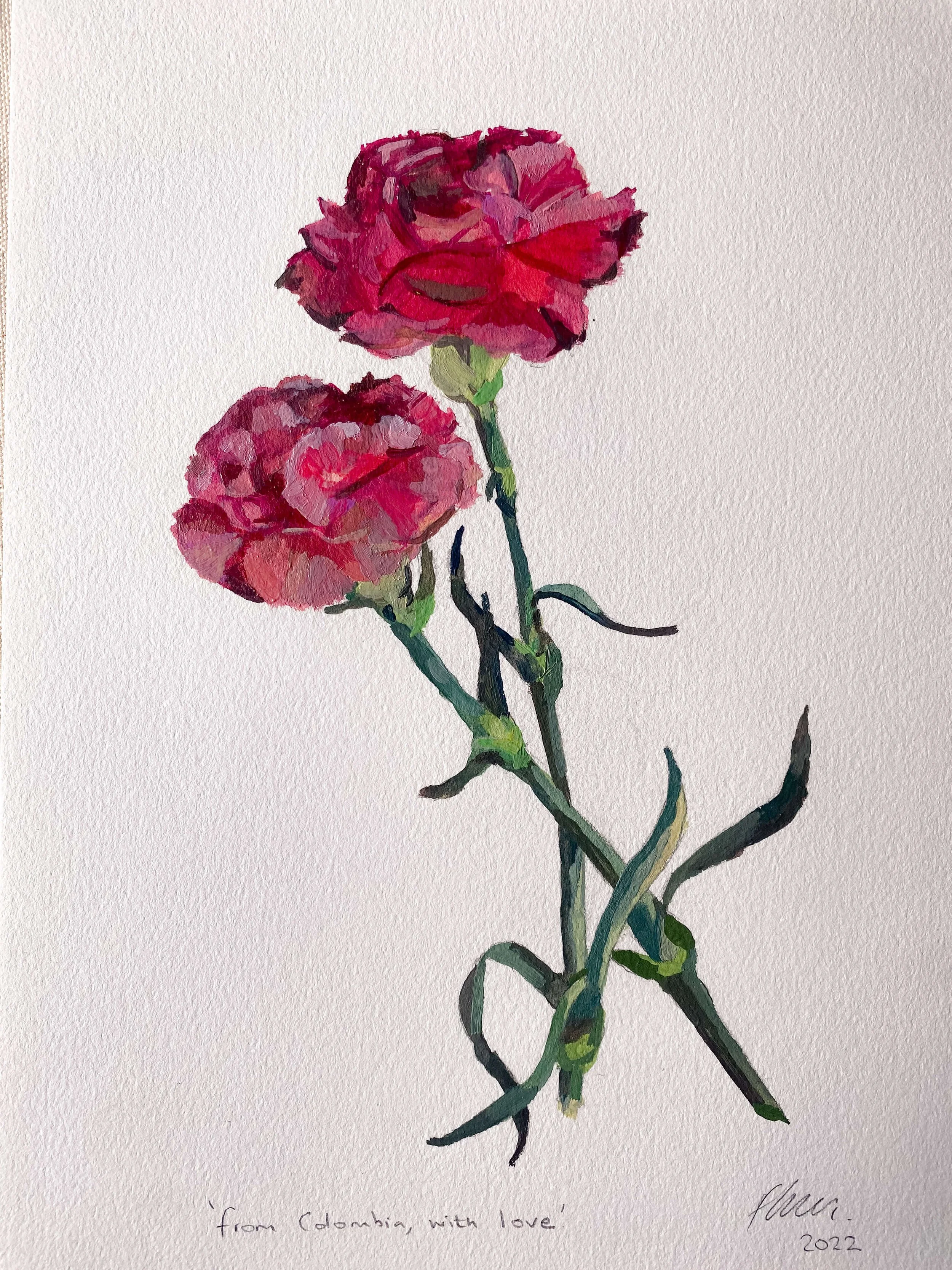 Carnations I : providing love and innocence