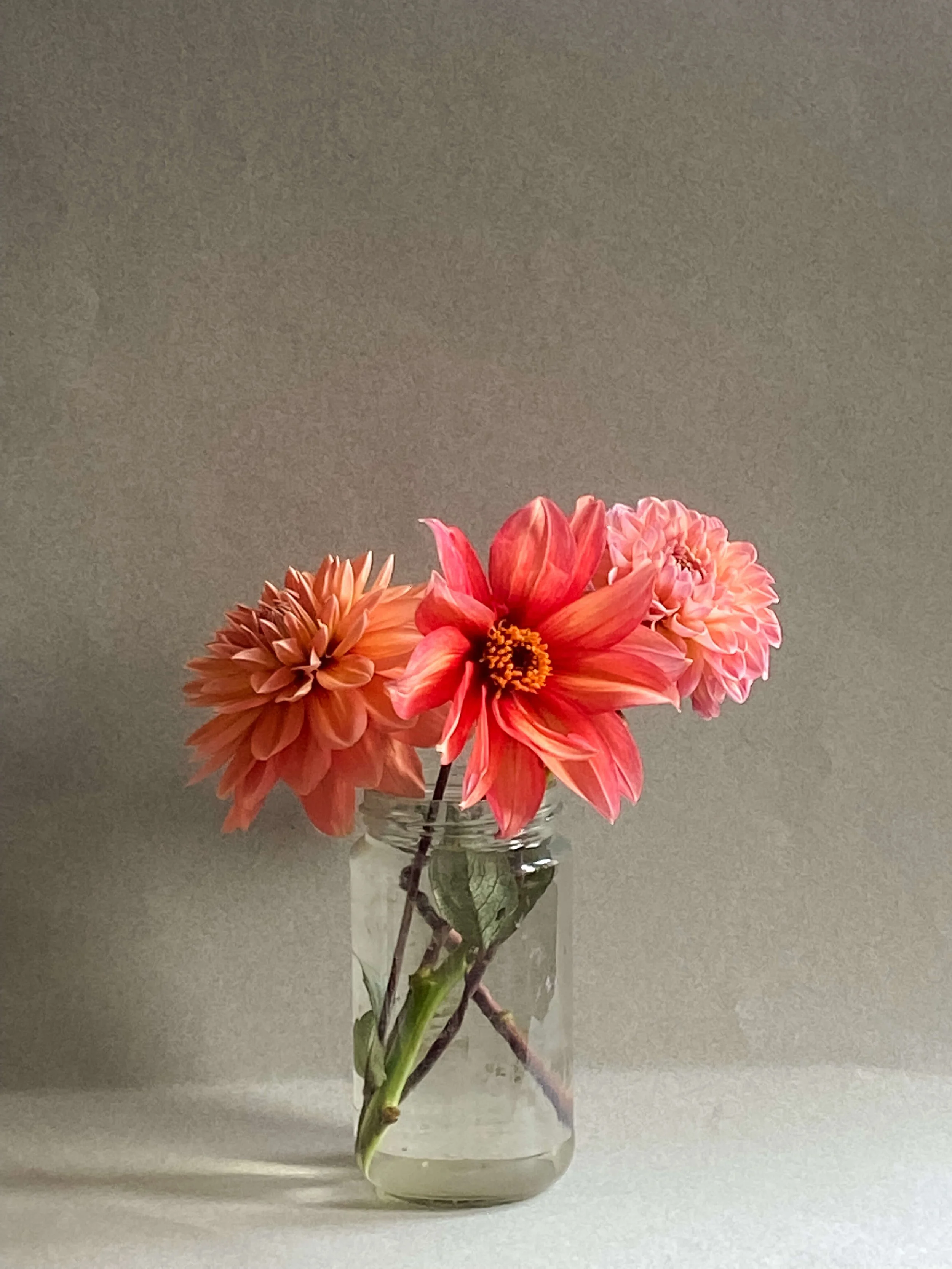 Dahlias, flower art, floral artwork, prints for your home, dahlia artwork