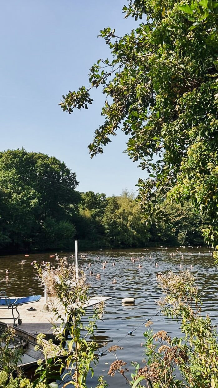 Kenwood Ladies' Pond, wild swimming London, Hampstead Heath, Hampstead Ladies’ Pond