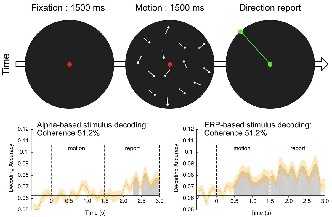 Motion Decoding.jpg