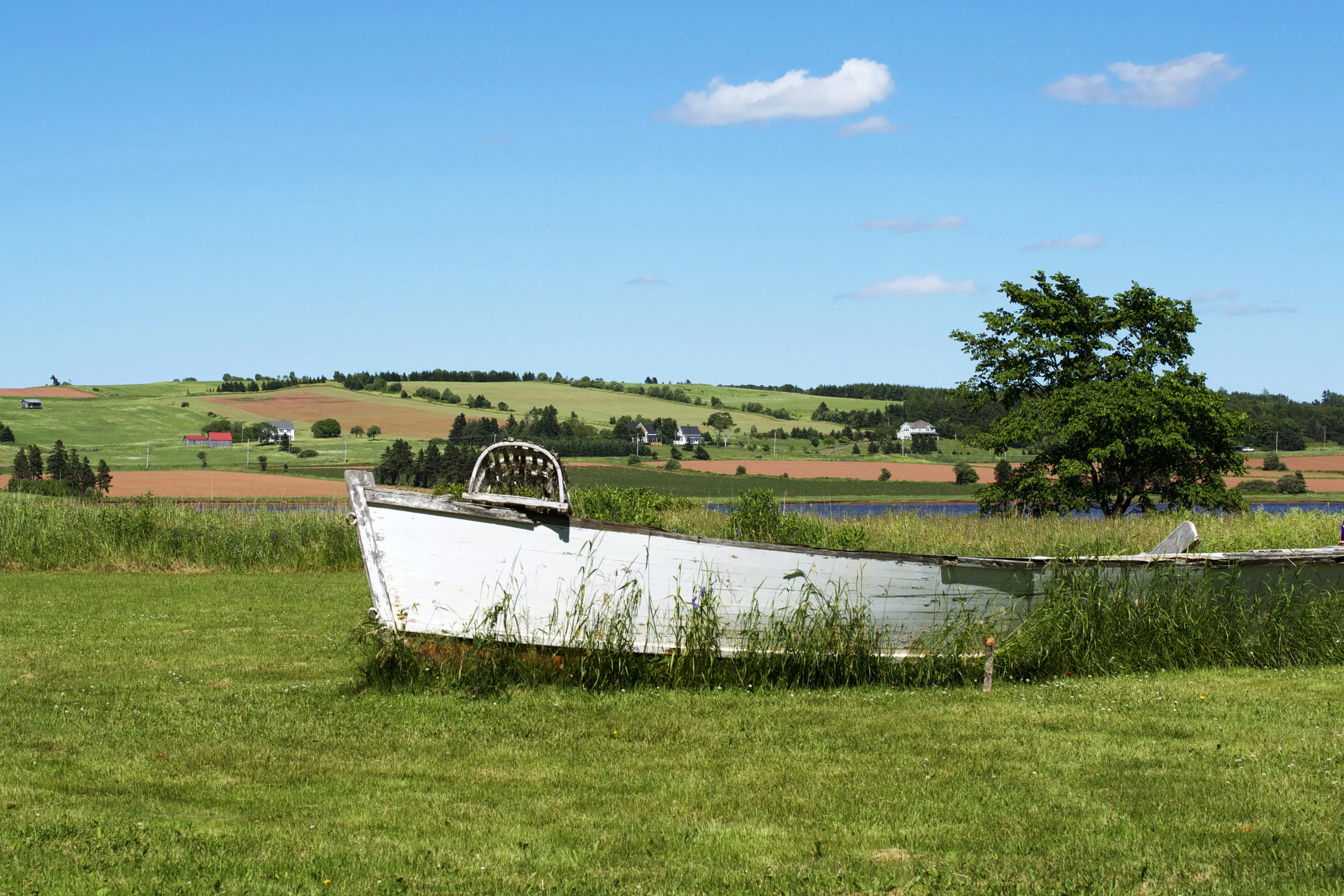 abandoned-boat.jpg