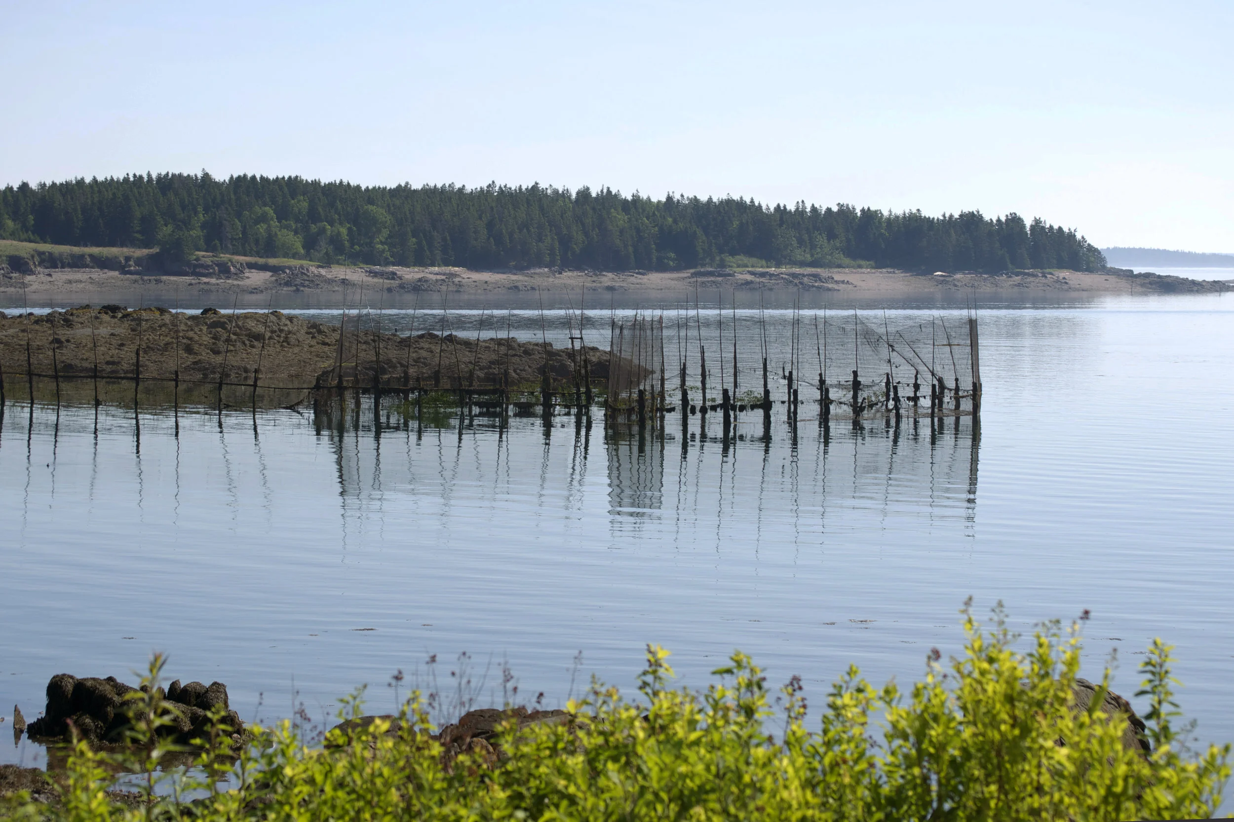 close-up-fishing-weirs.jpg