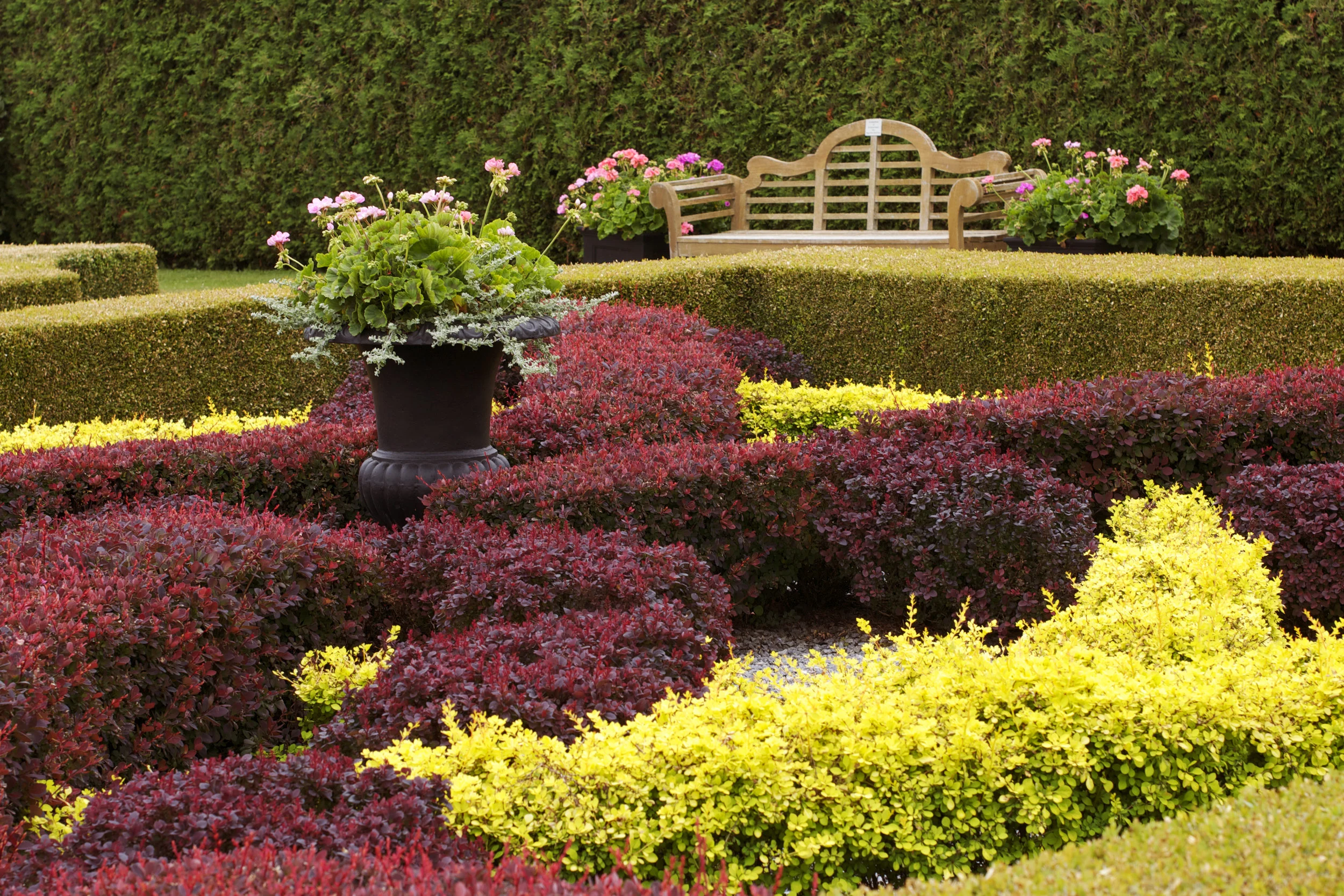Knot-garden.jpg