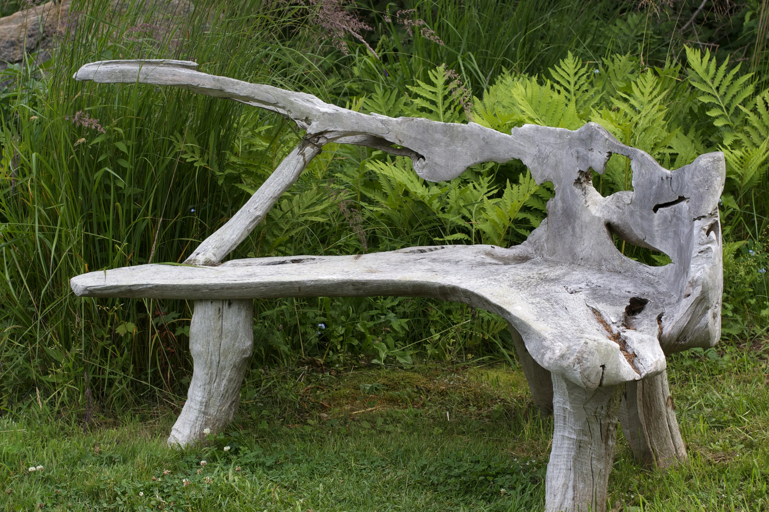 driftwood-bench.jpg