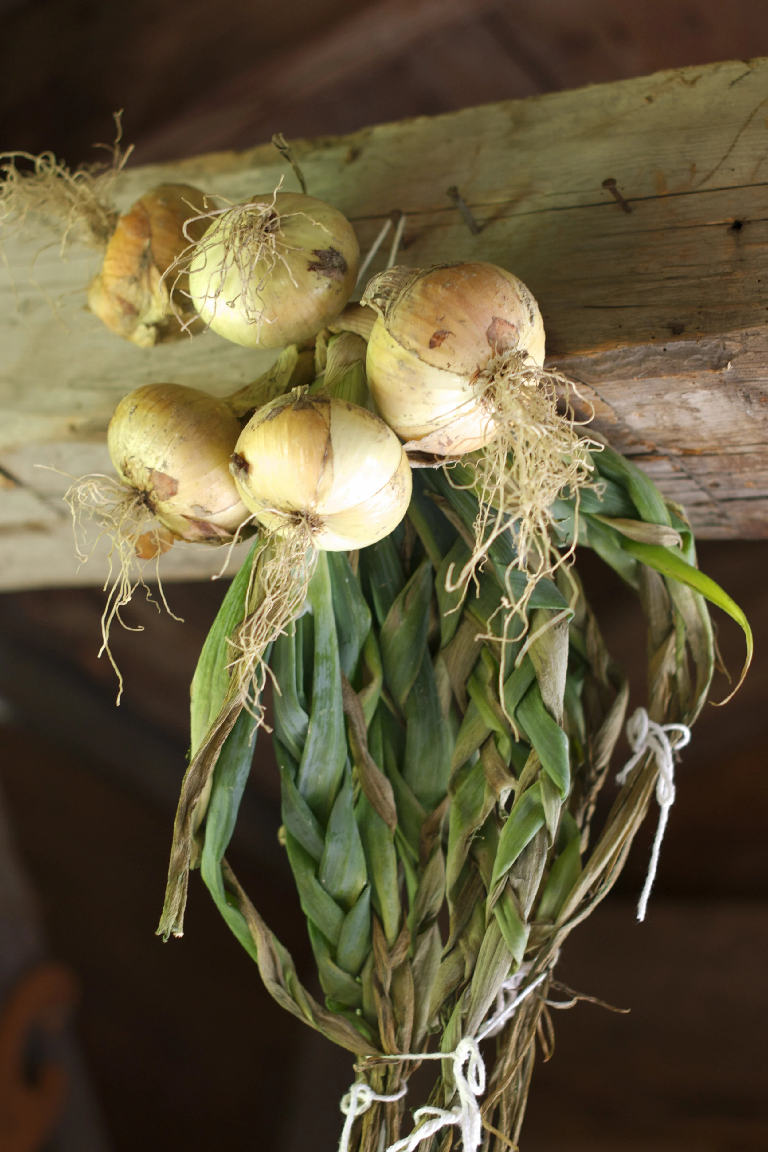 braided-onions.jpg