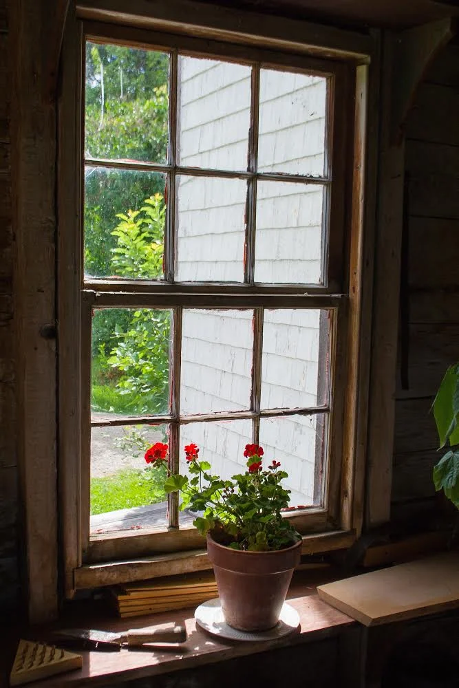 geraniums-2017.jpg