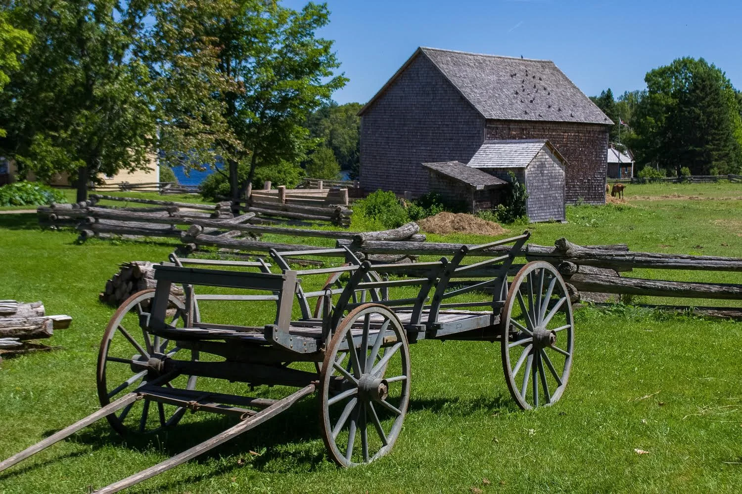 wagon-skeleton-2017.jpg