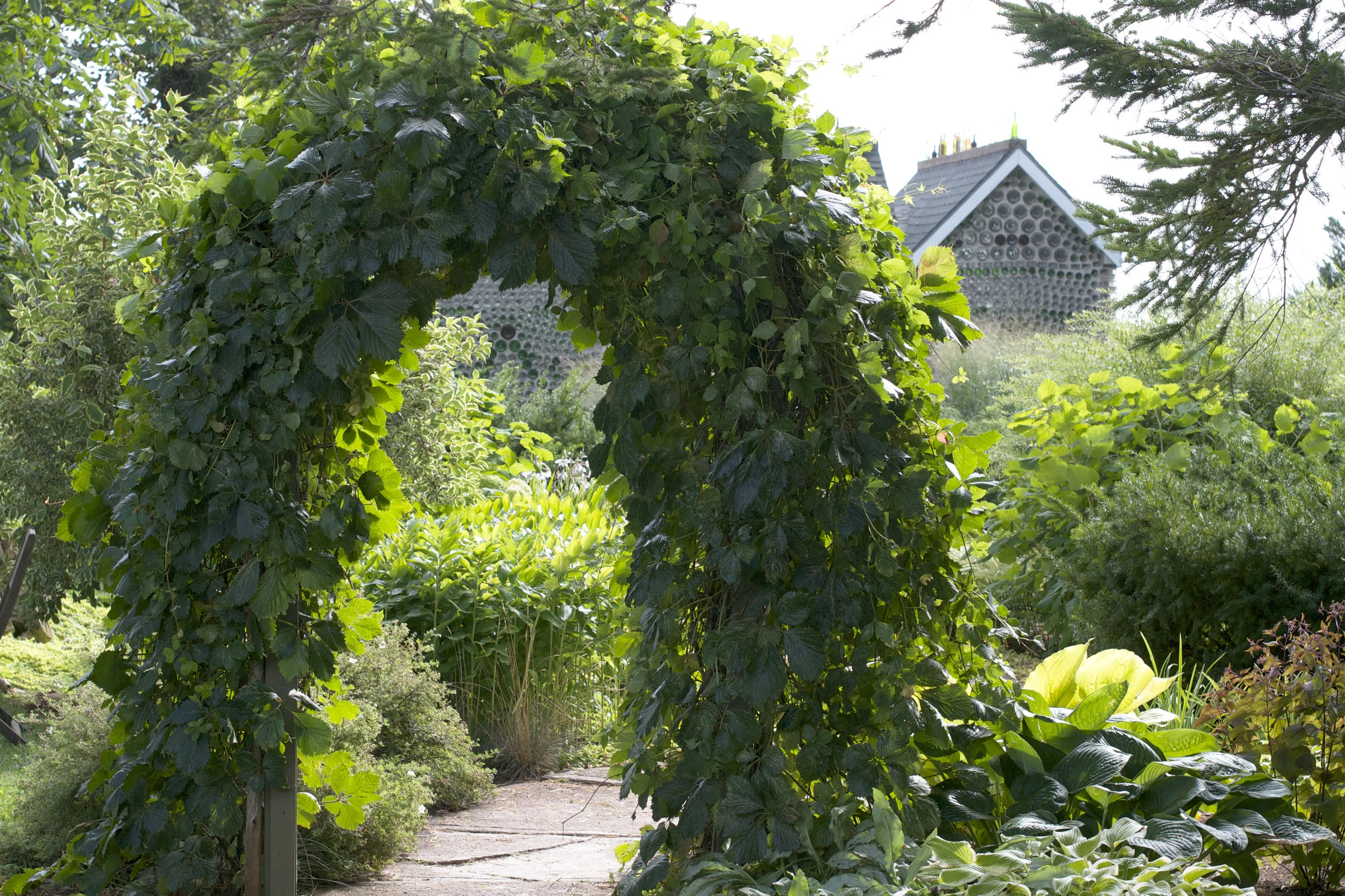ivy-archway.jpg