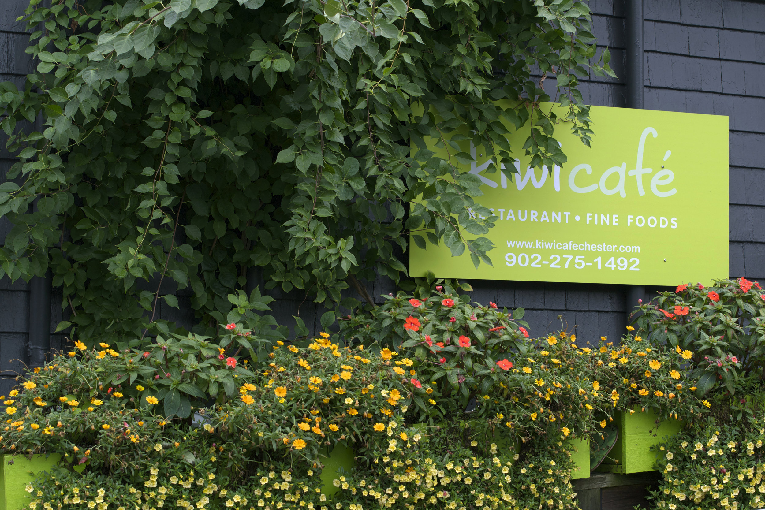 Chester Nova Scotia — MARITIMES MAVEN