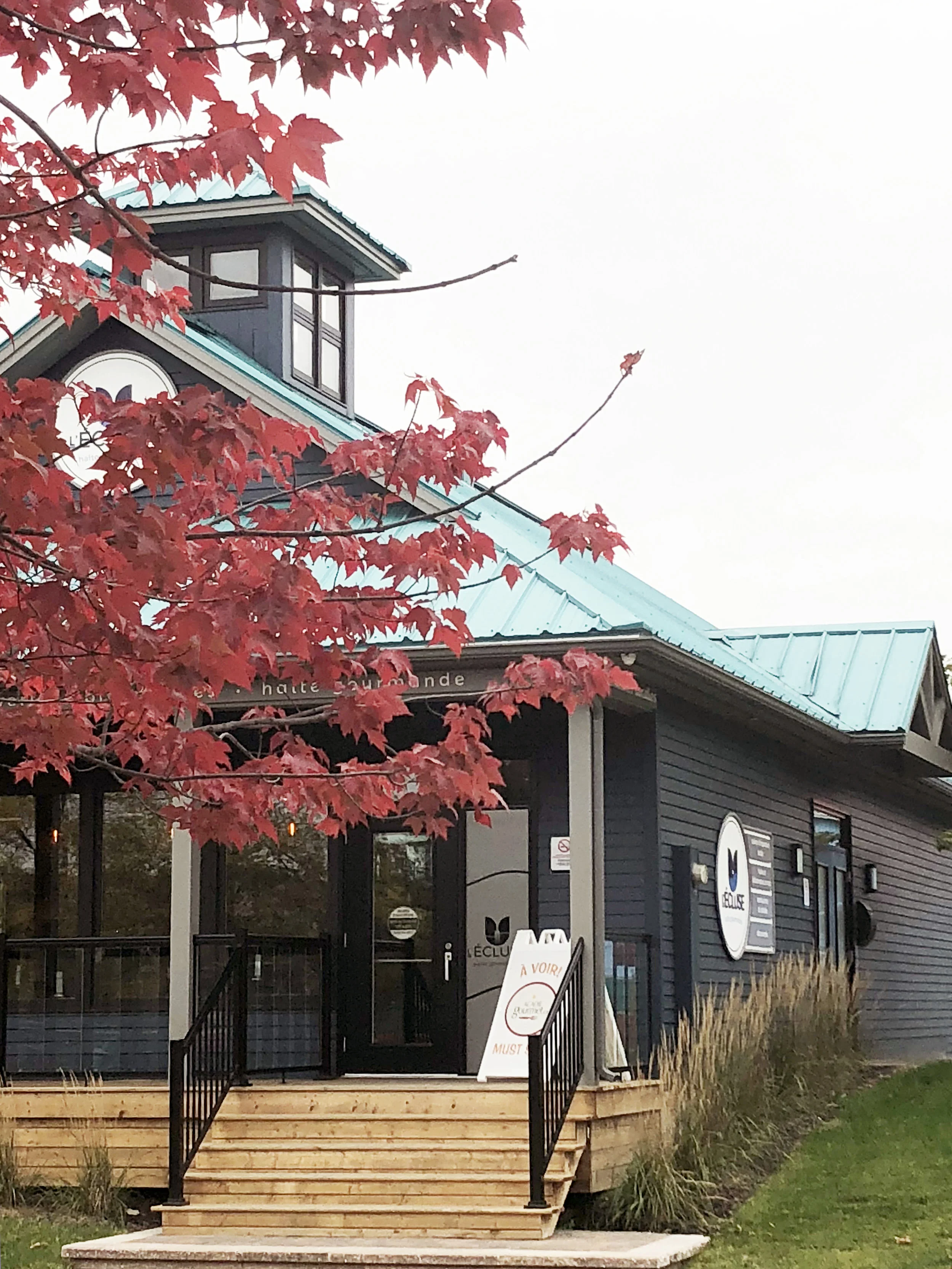 ecluse-red-maple.jpg