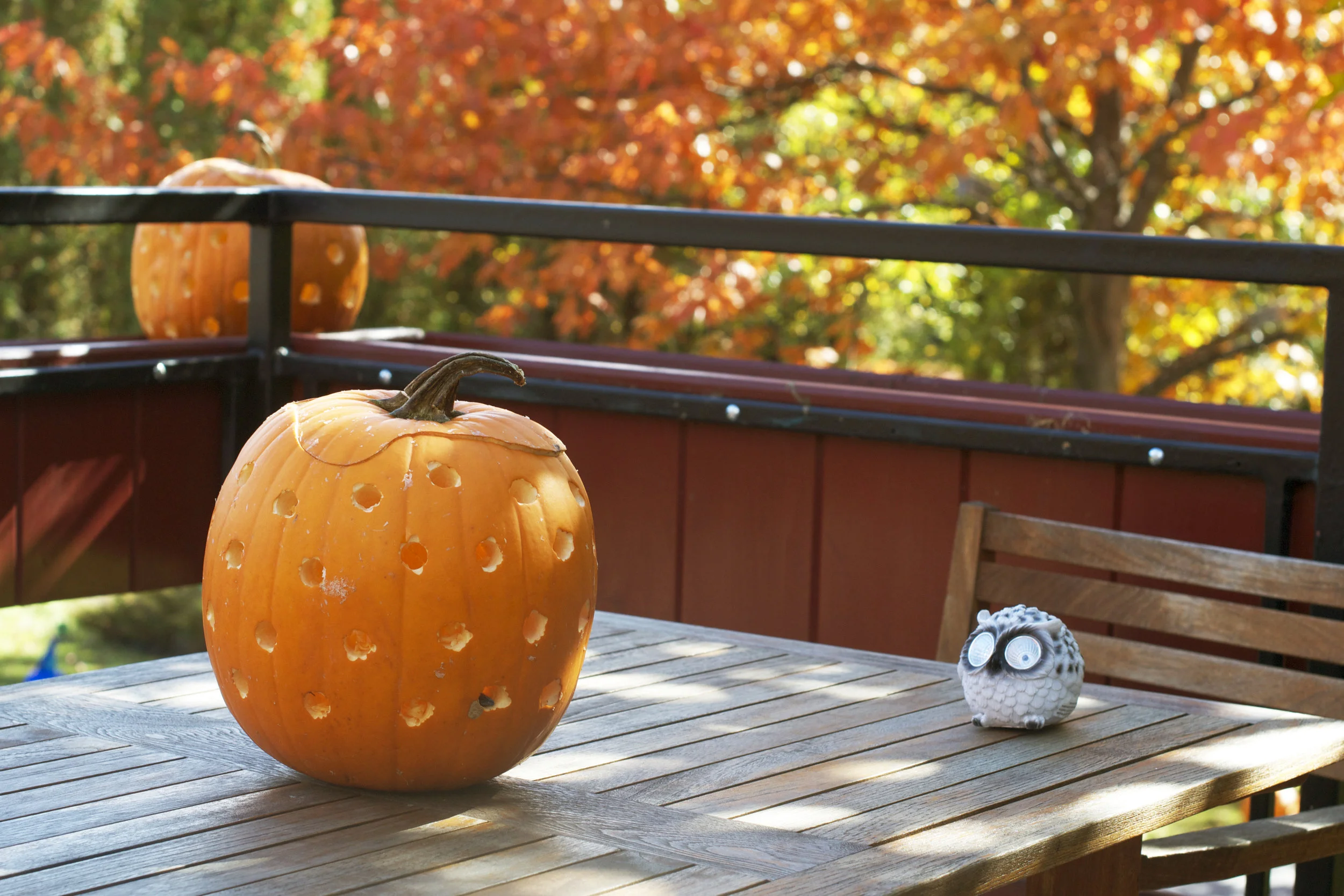 patio-pumpkins-on-tables.jpg