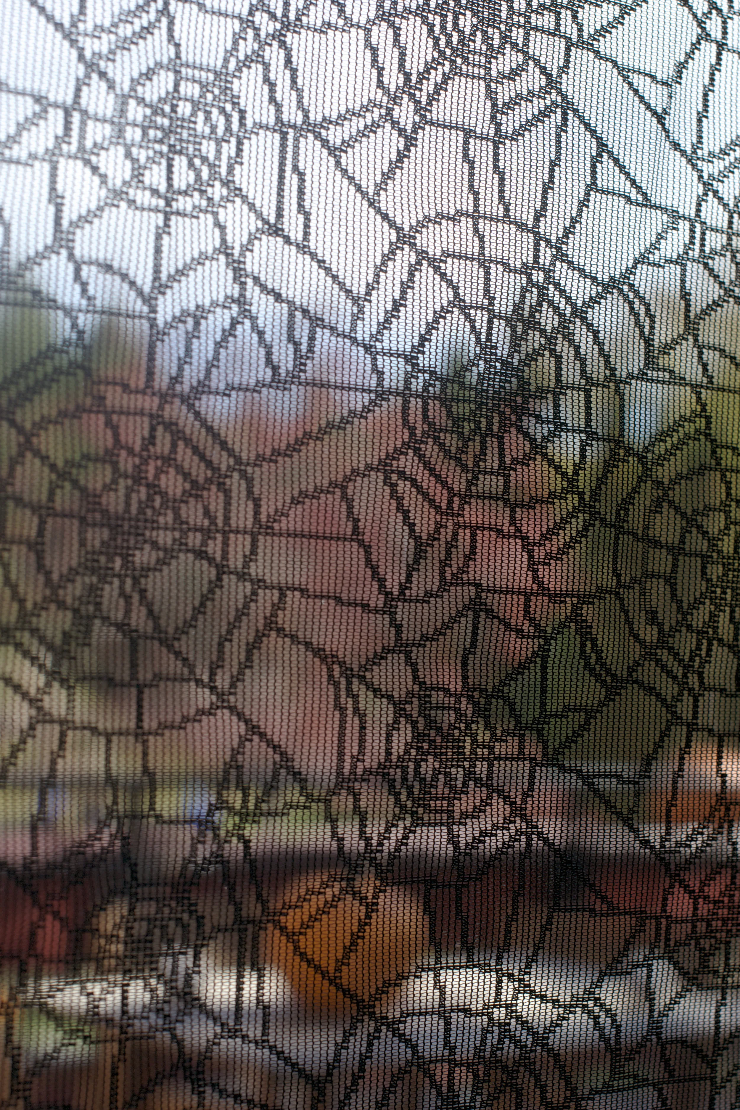 spider-web-window-close-up.jpg