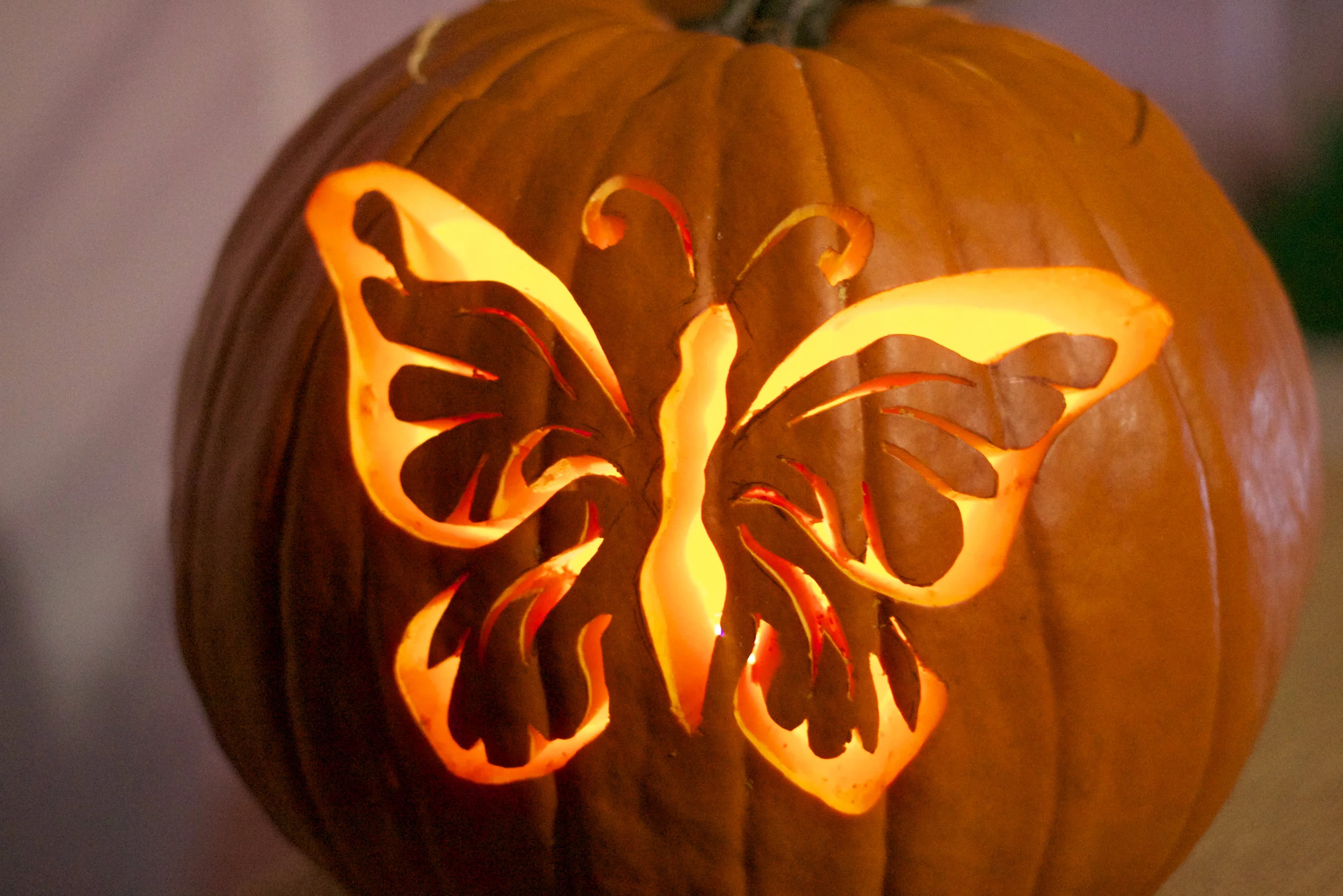 spectacular-butterfly-pumpkin.jpg