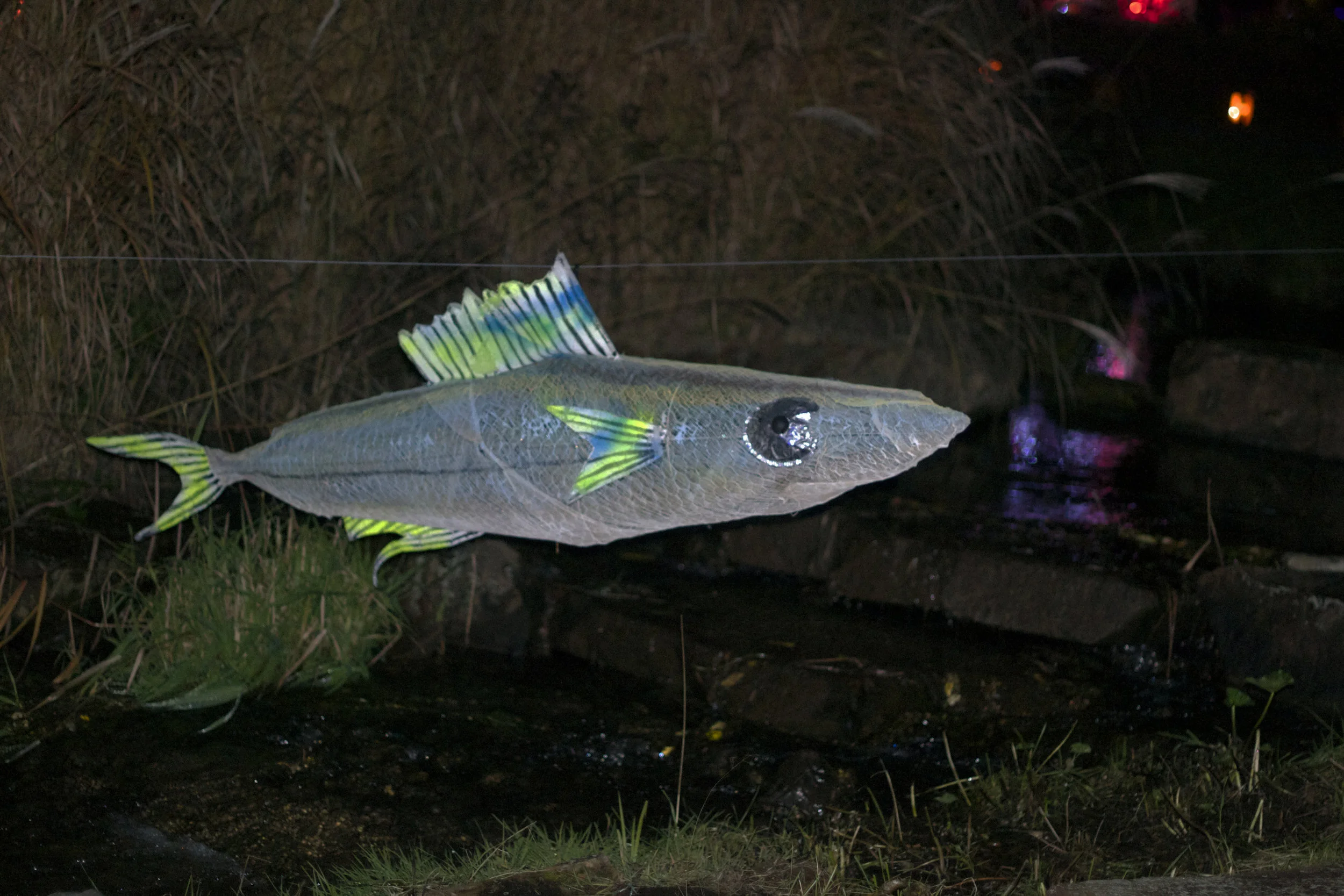 silver-fish.jpg