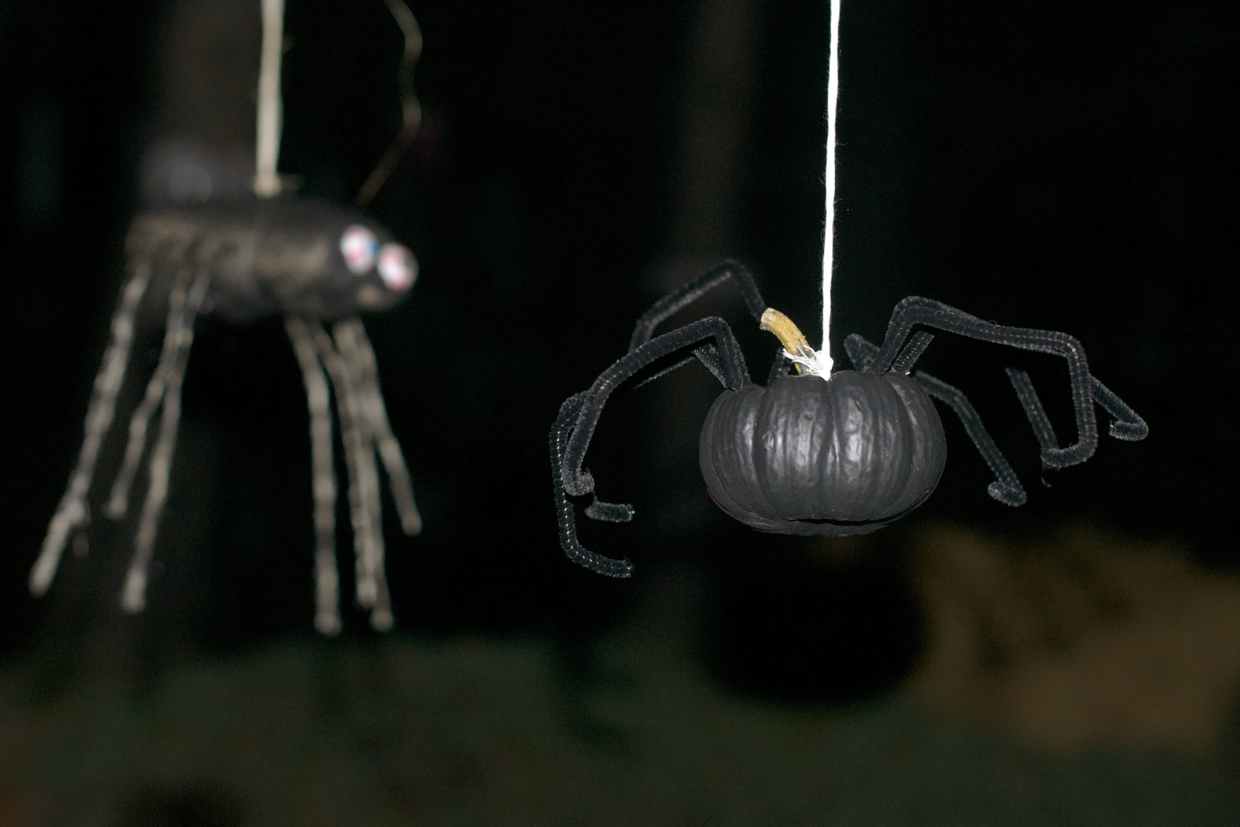 hanging-spiders.jpg