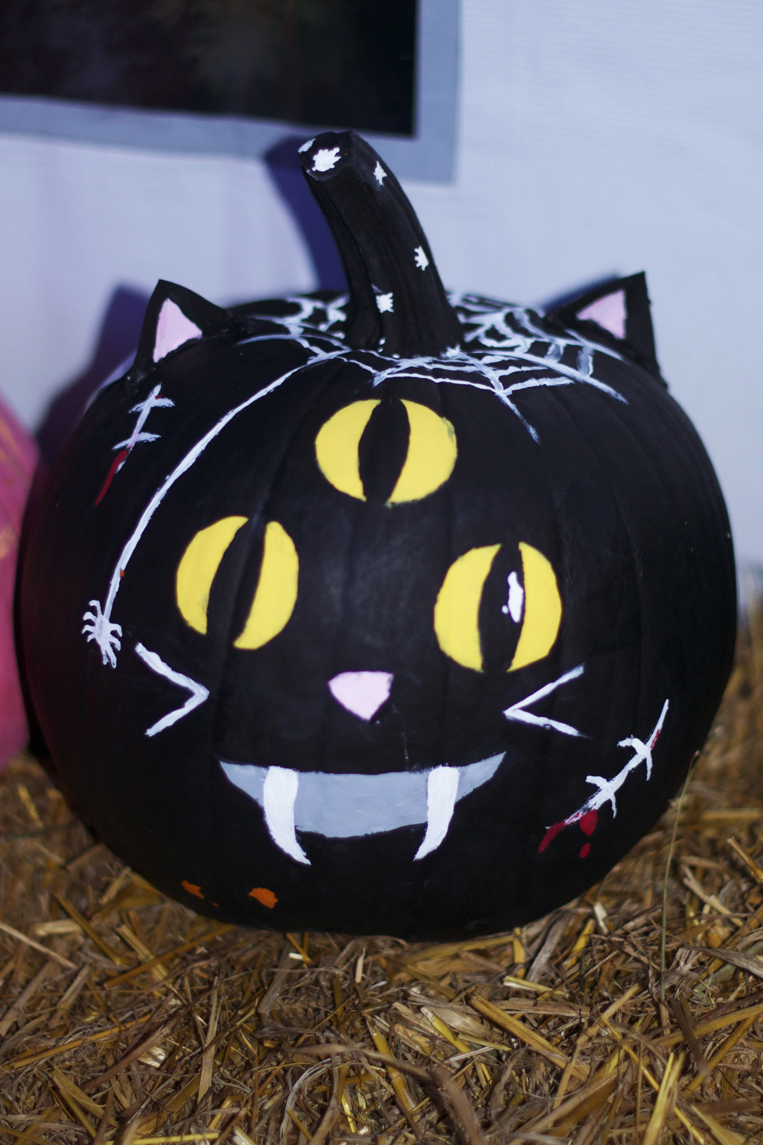 3-eyed-cat.jpg
