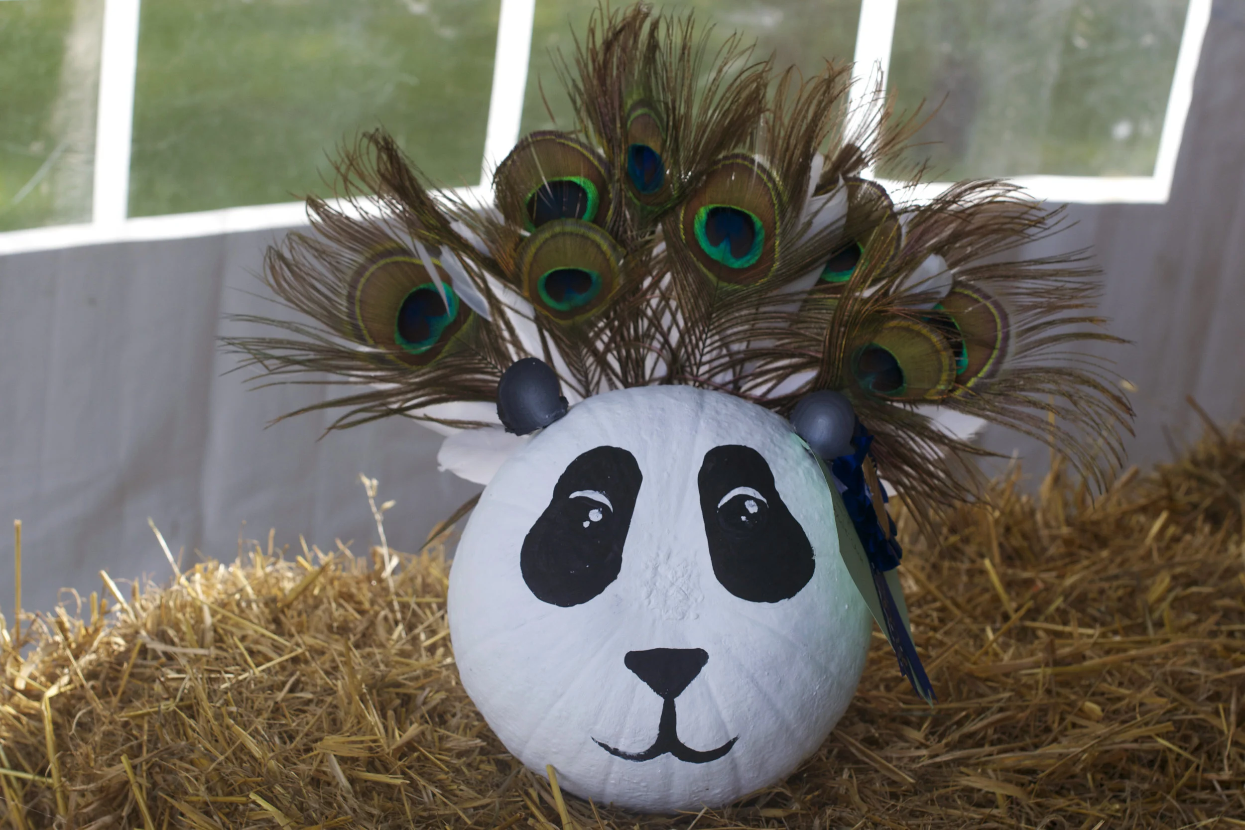 panda-peacock-hair.jpg