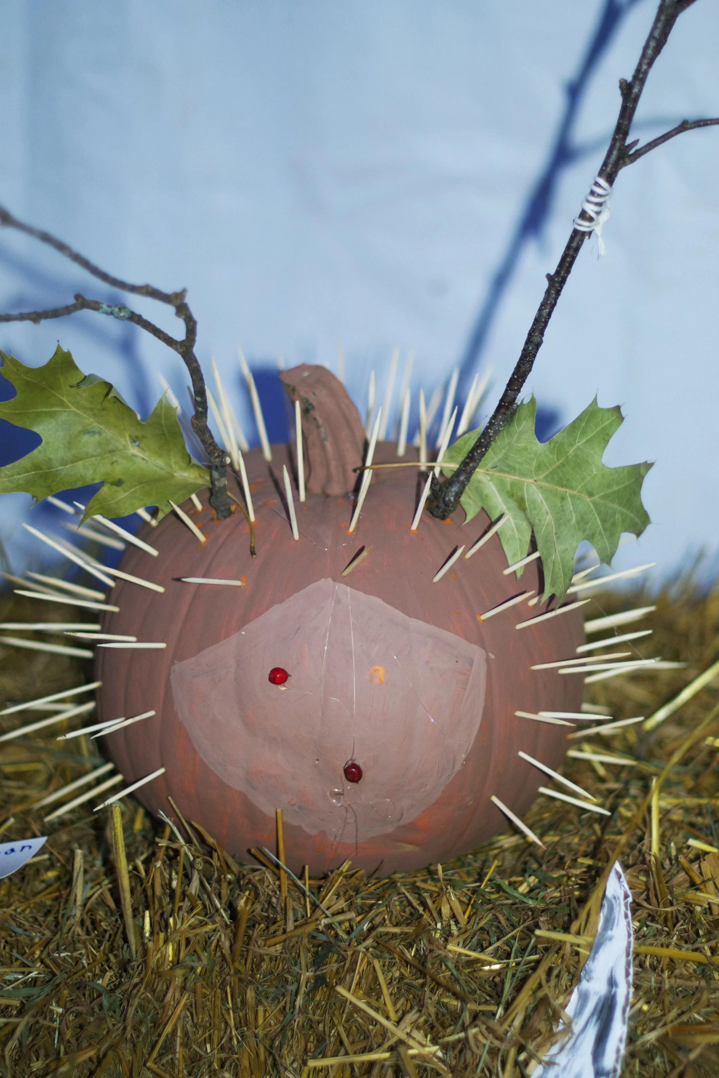porcupine-pumpkin.jpg