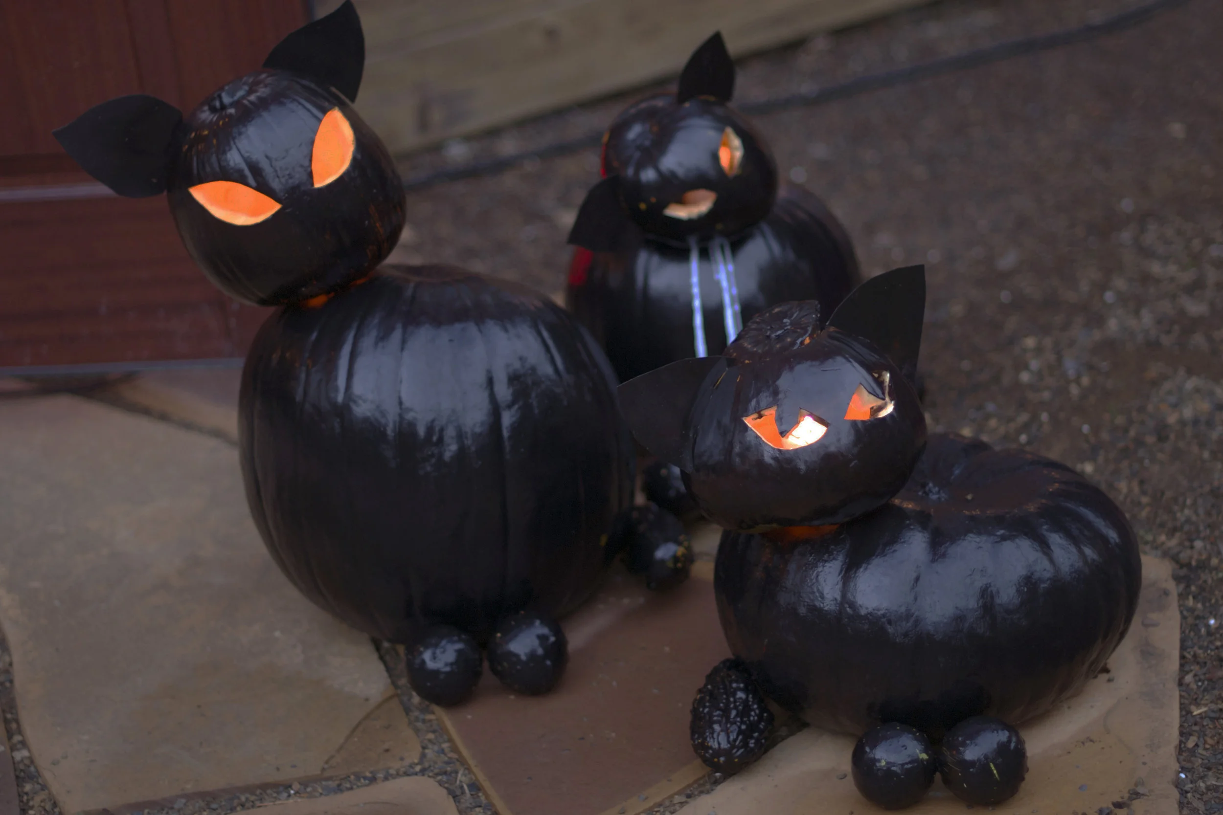 kitties.jpg