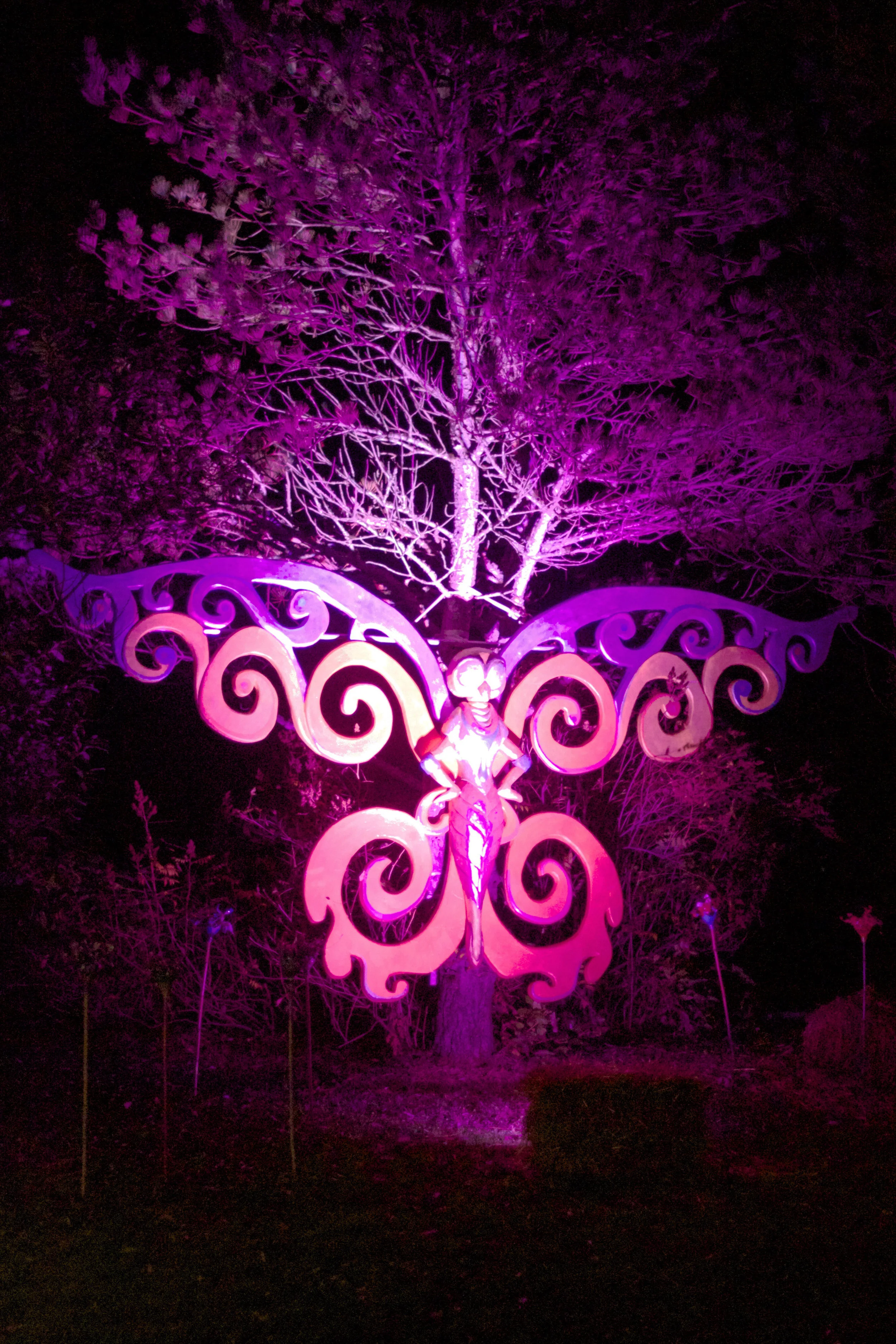 butterfly-glowing-in-the-dark.jpg