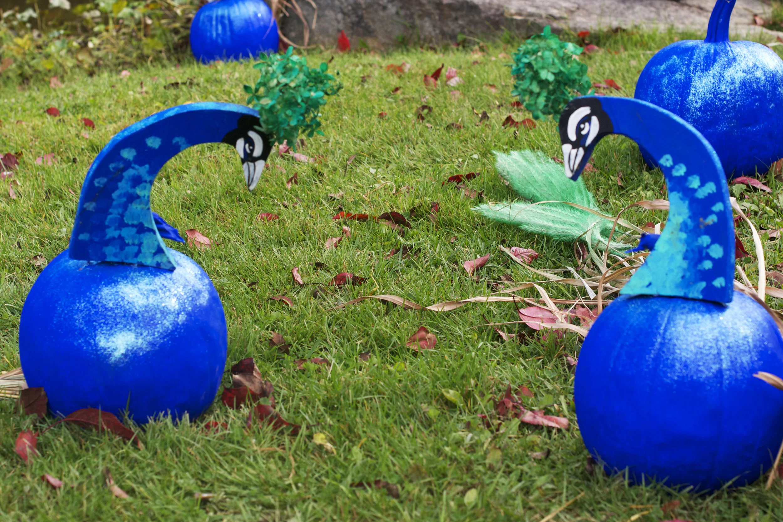 peacocks.jpg