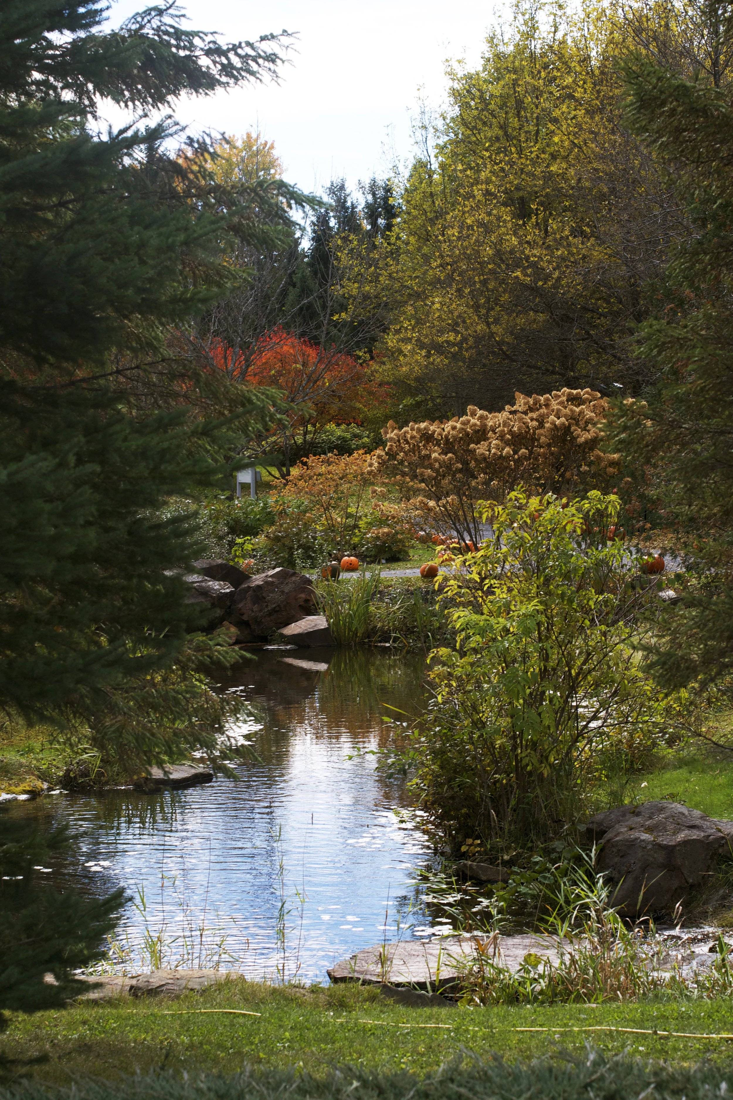 stream-fall-view.jpg
