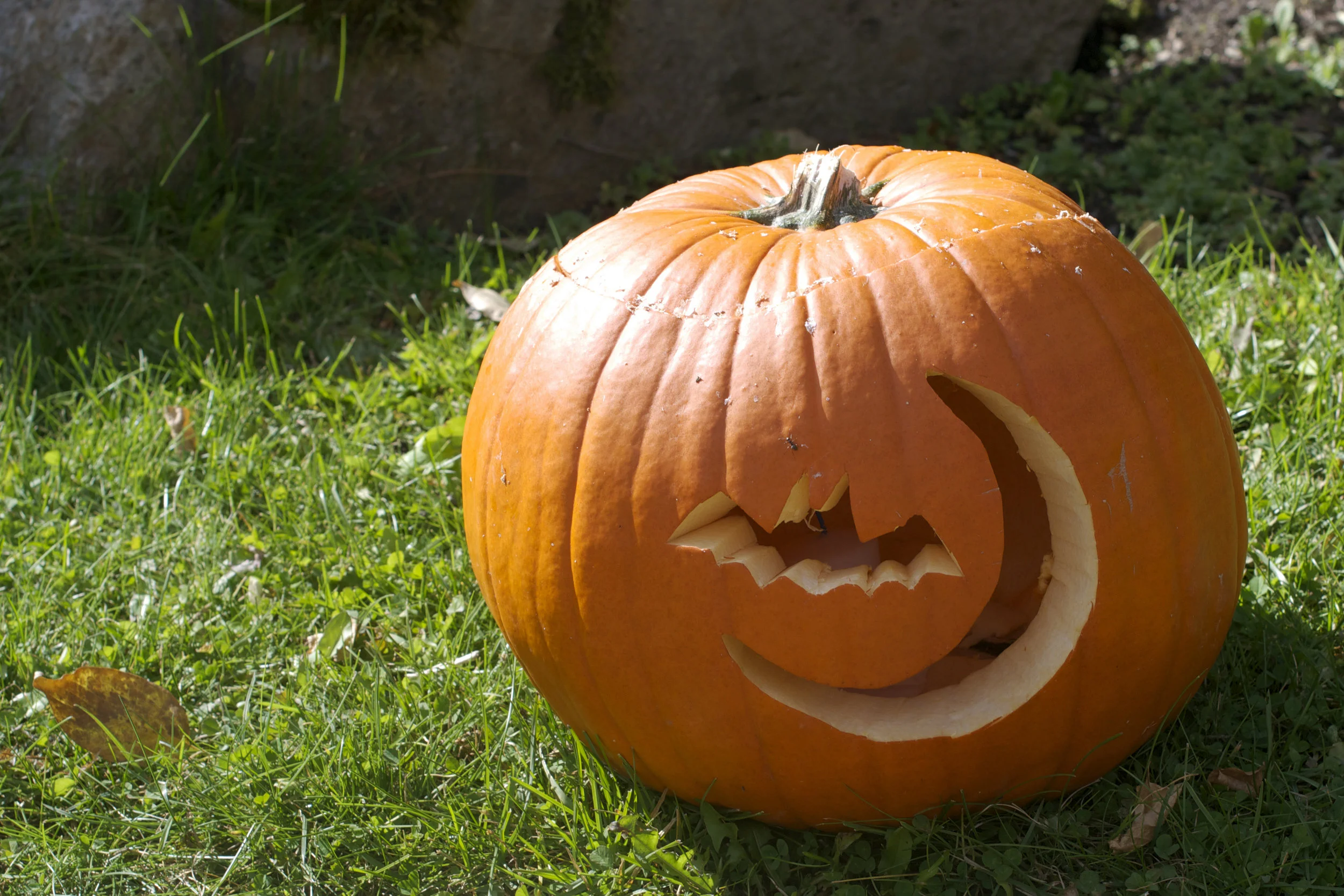 bat-and-moon-pumpkin.jpg