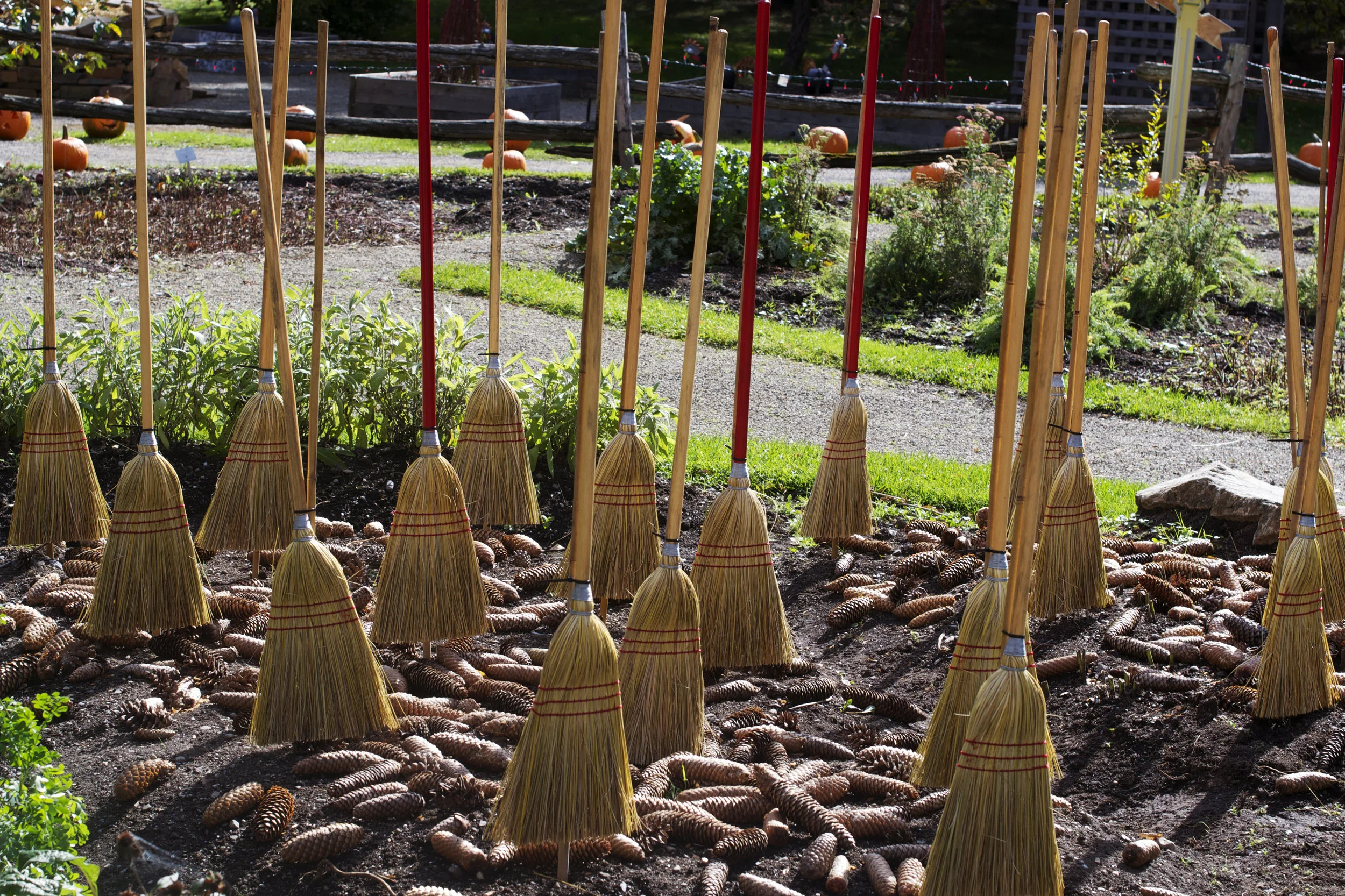 broom-parking-lot.jpg