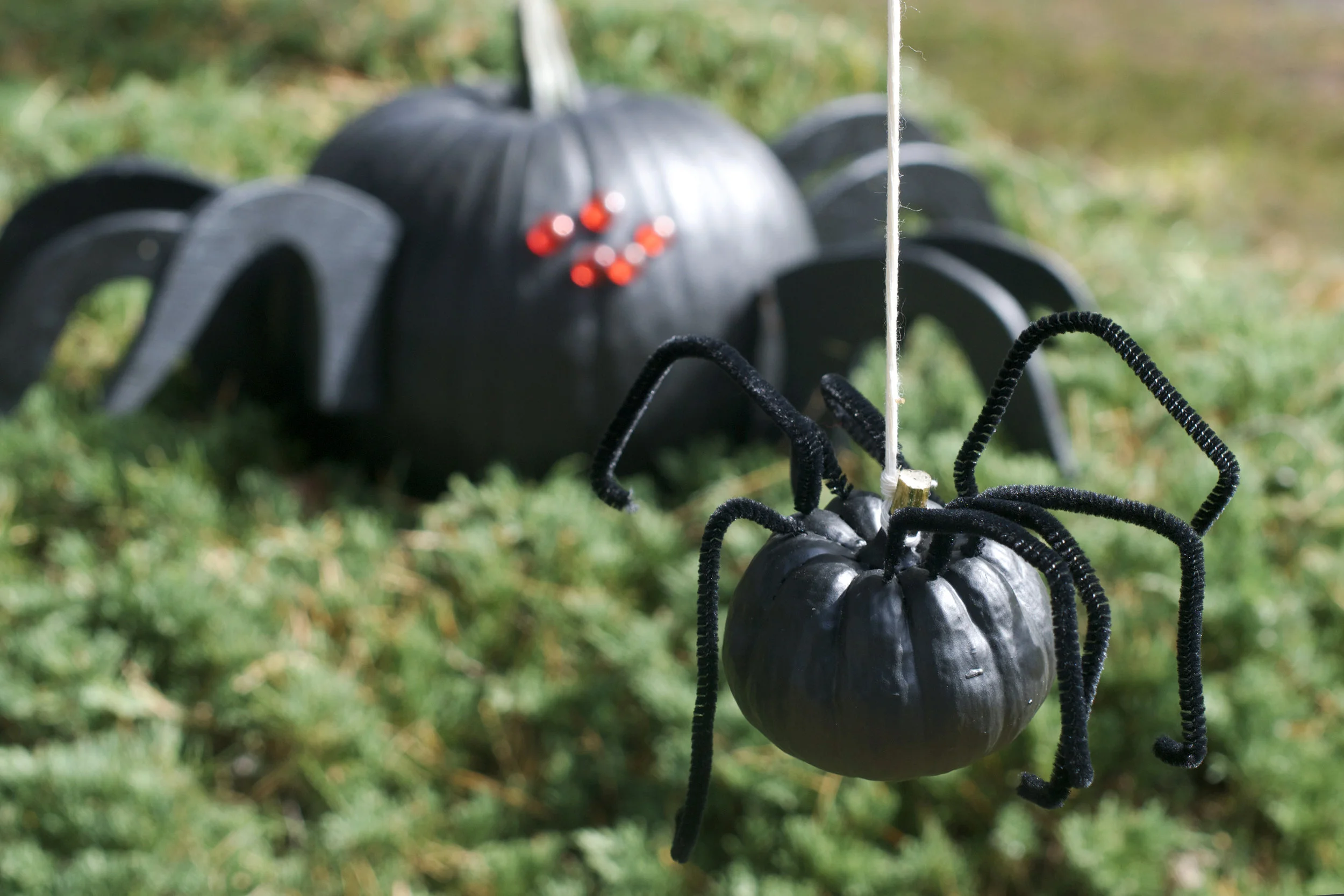 dangling-spider-and-big-one.jpg