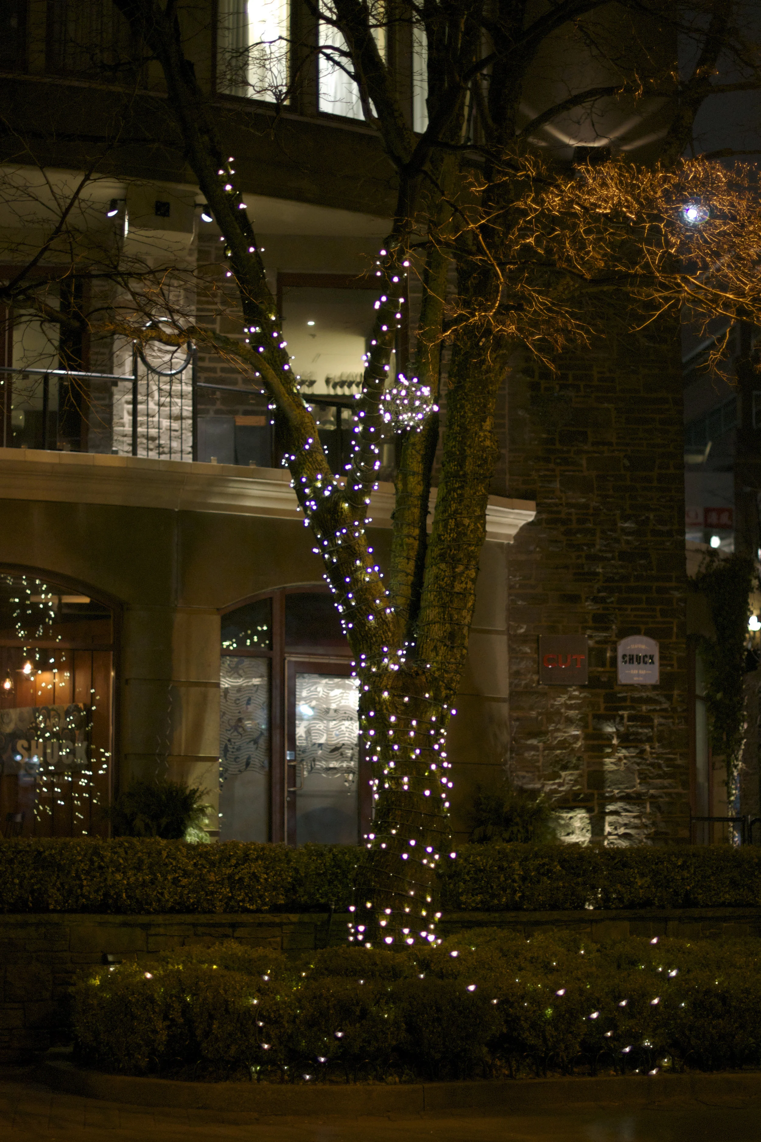 lights-outside-CUT.jpg