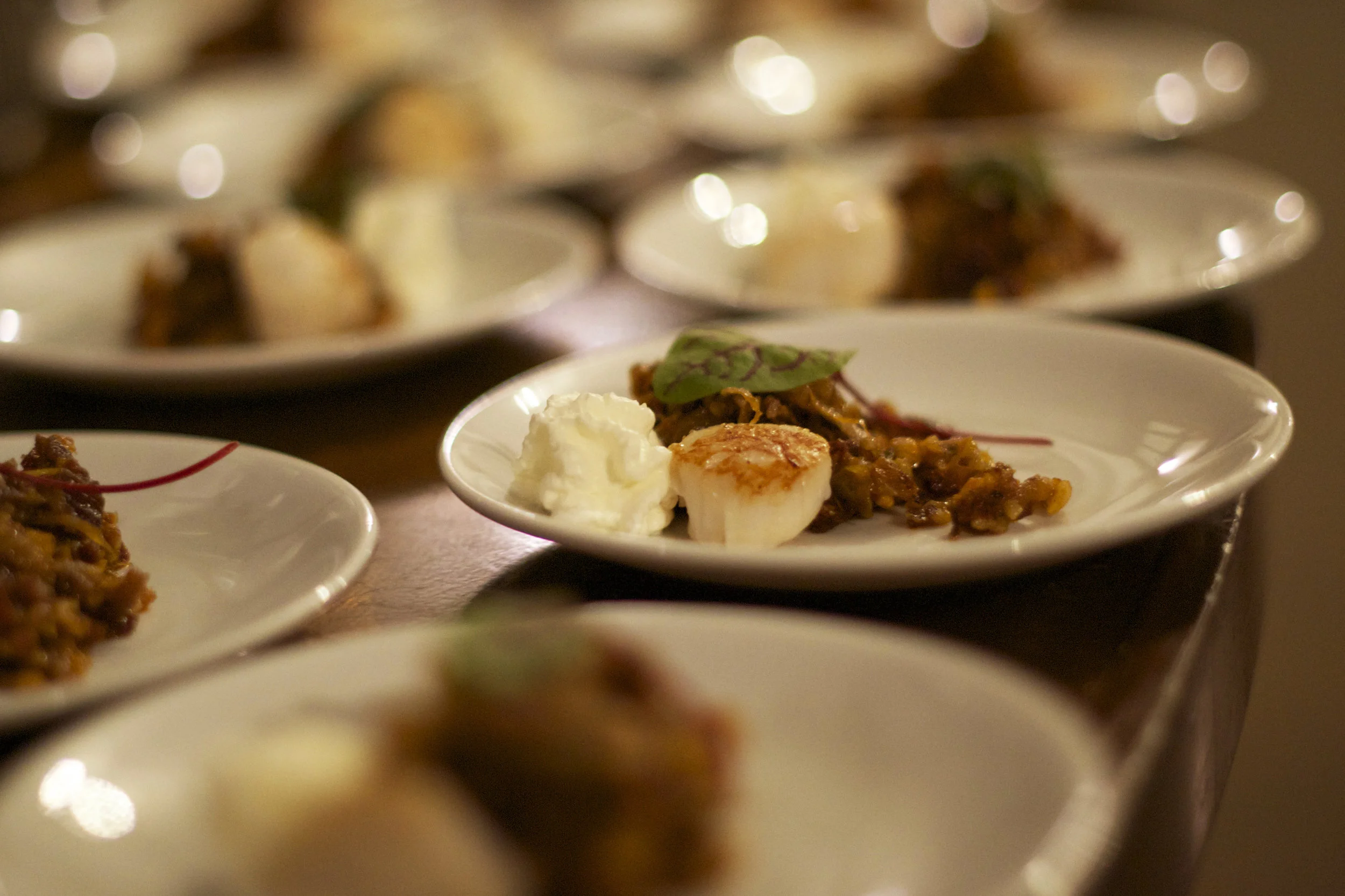 scallops.jpg