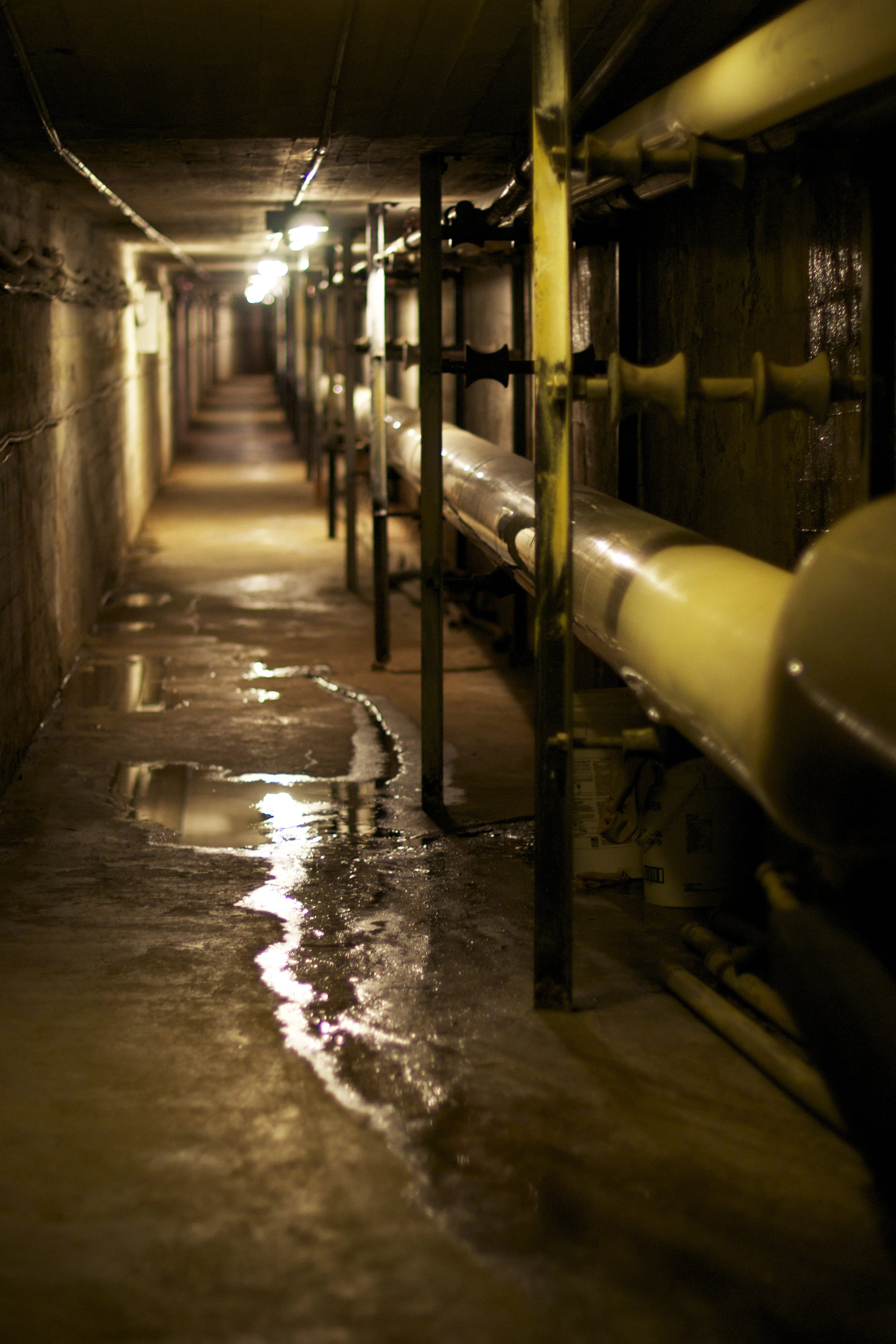tunnel.jpg
