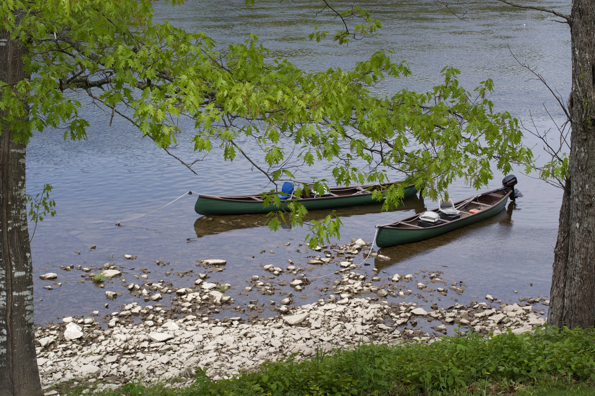 canoes-view.jpg