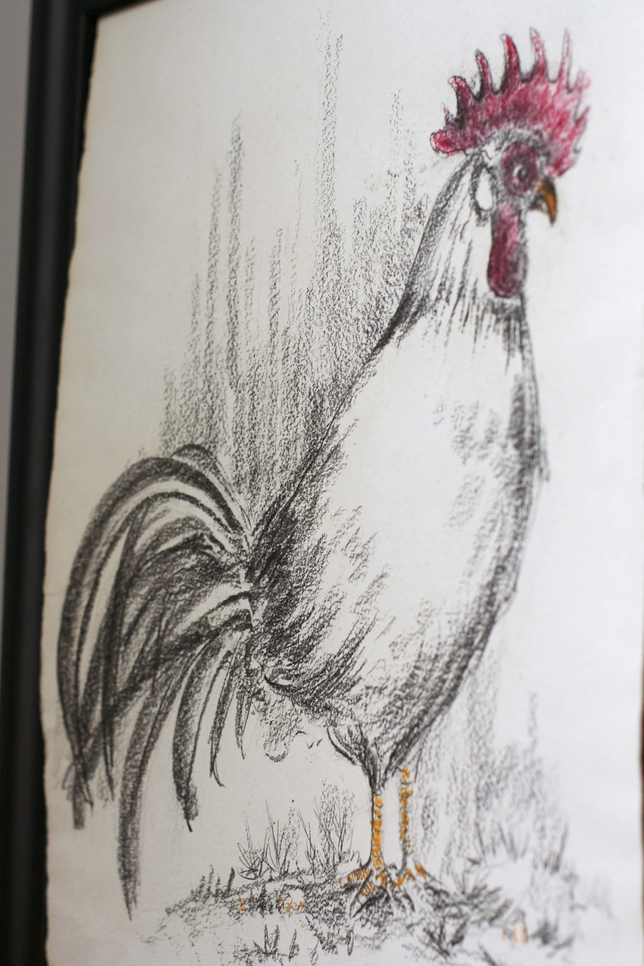rooster-sketch.jpg