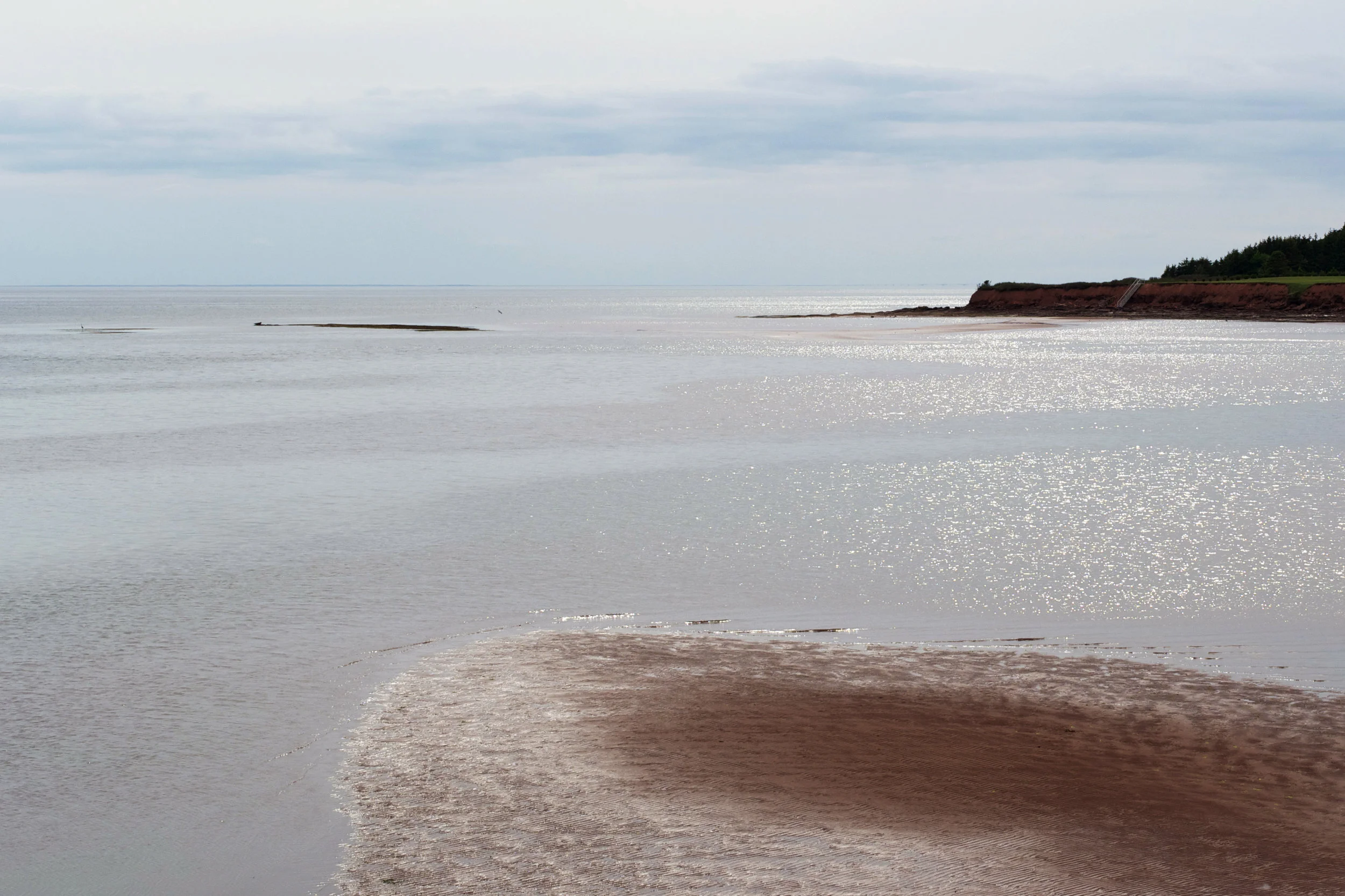 look-out-low-tide.jpg