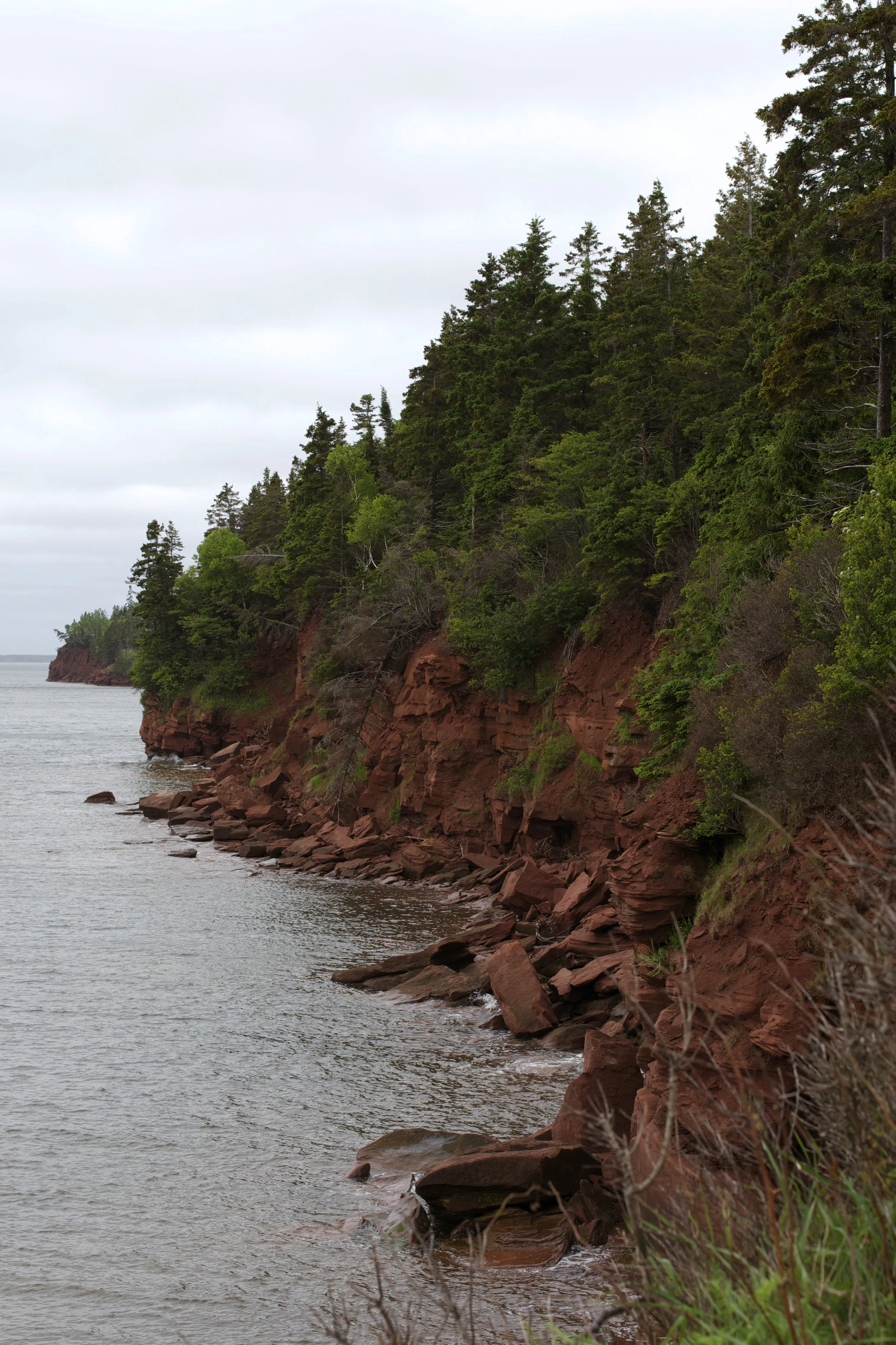 rocky-shore.jpg