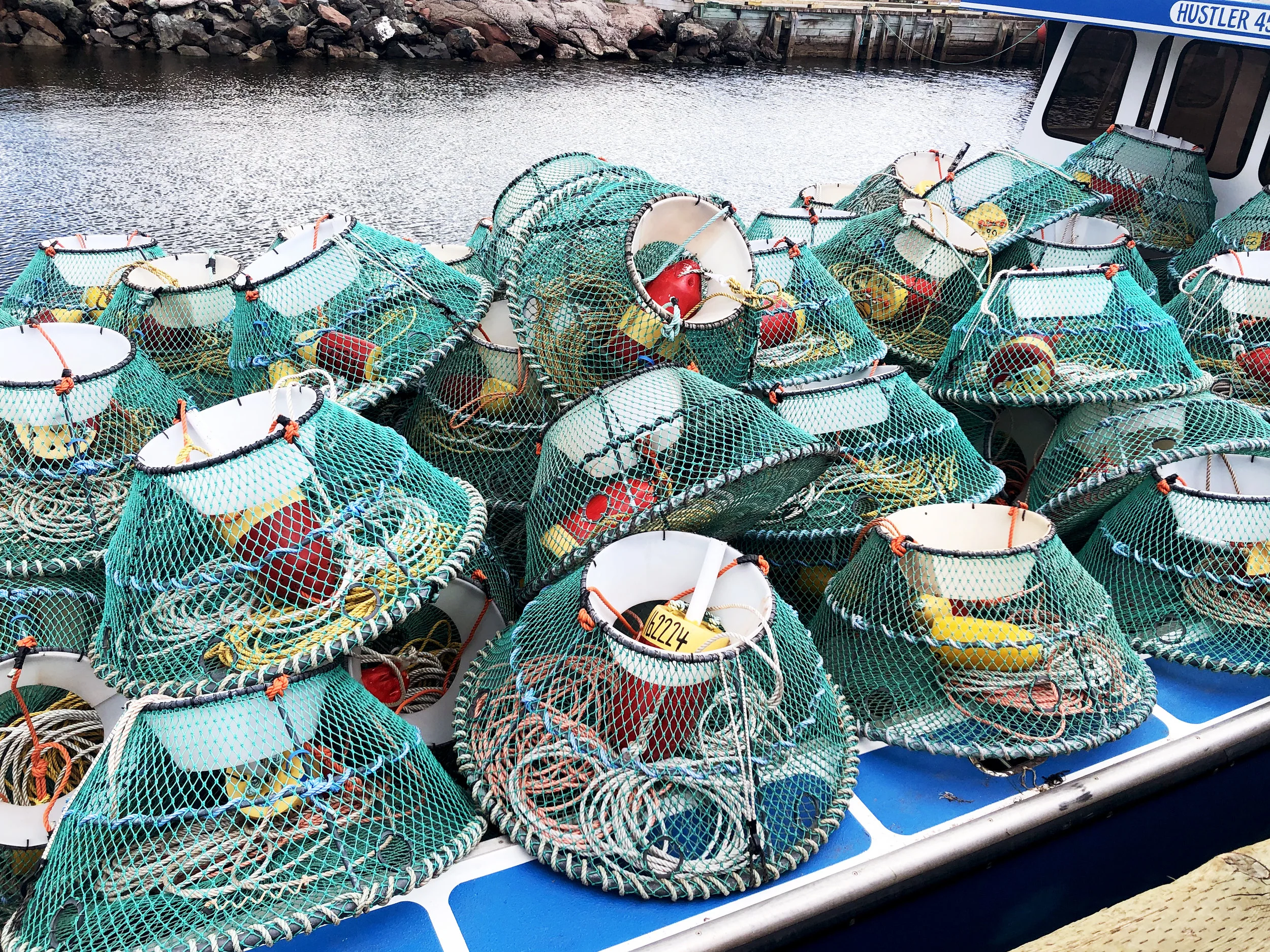 round-lobster-traps.jpg