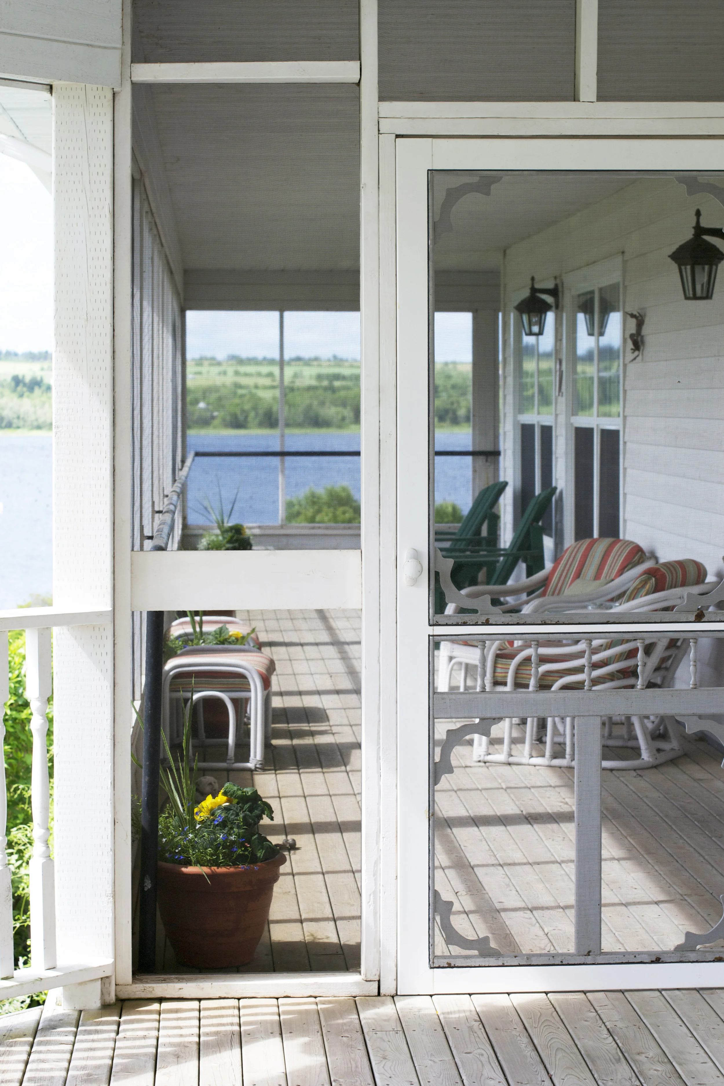 screen-door.jpg