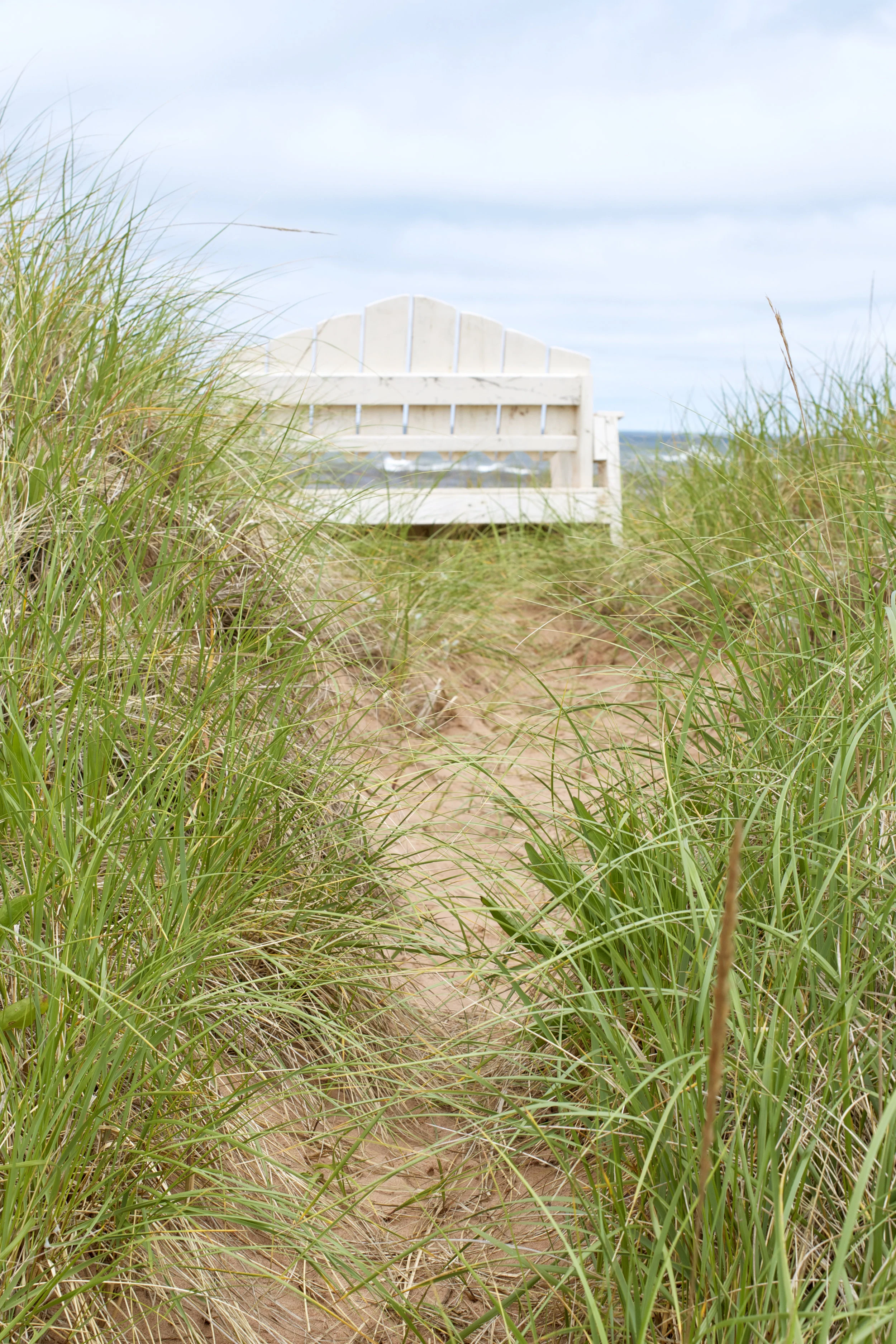 beach-path-to-bench.jpg